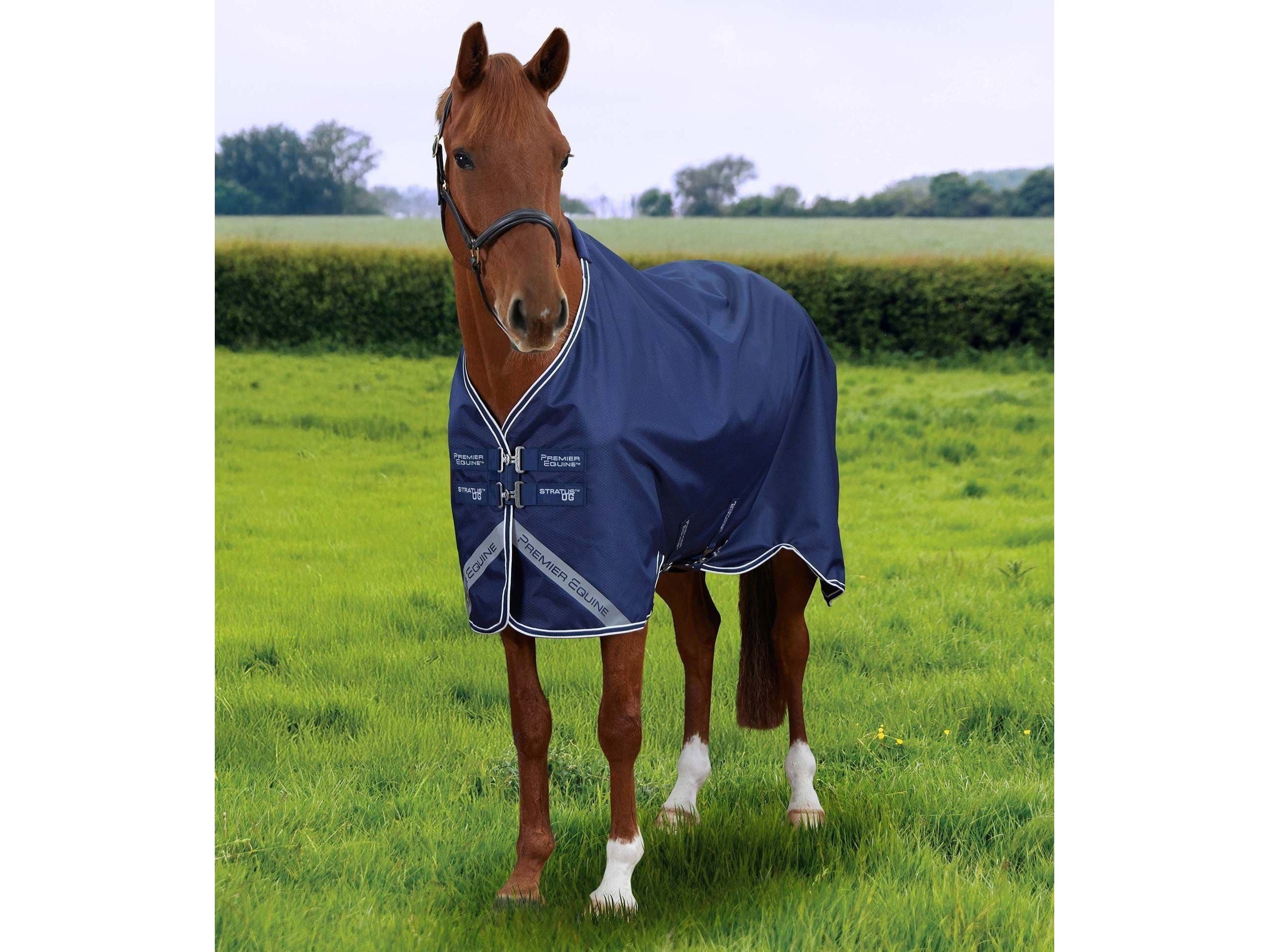 Premier Equine Stratus 600D Series 0g Original Turnout Rug