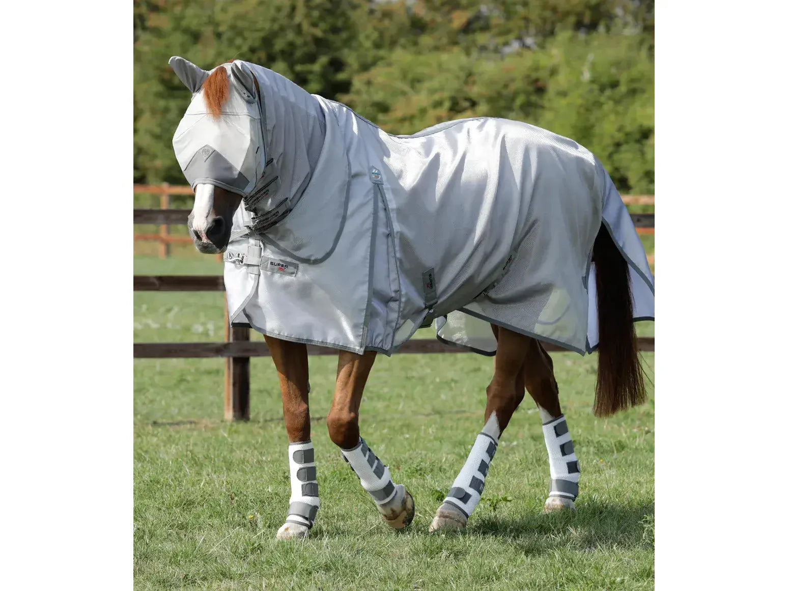 Premier Equine Super Lite Fly Rug with Surcingles