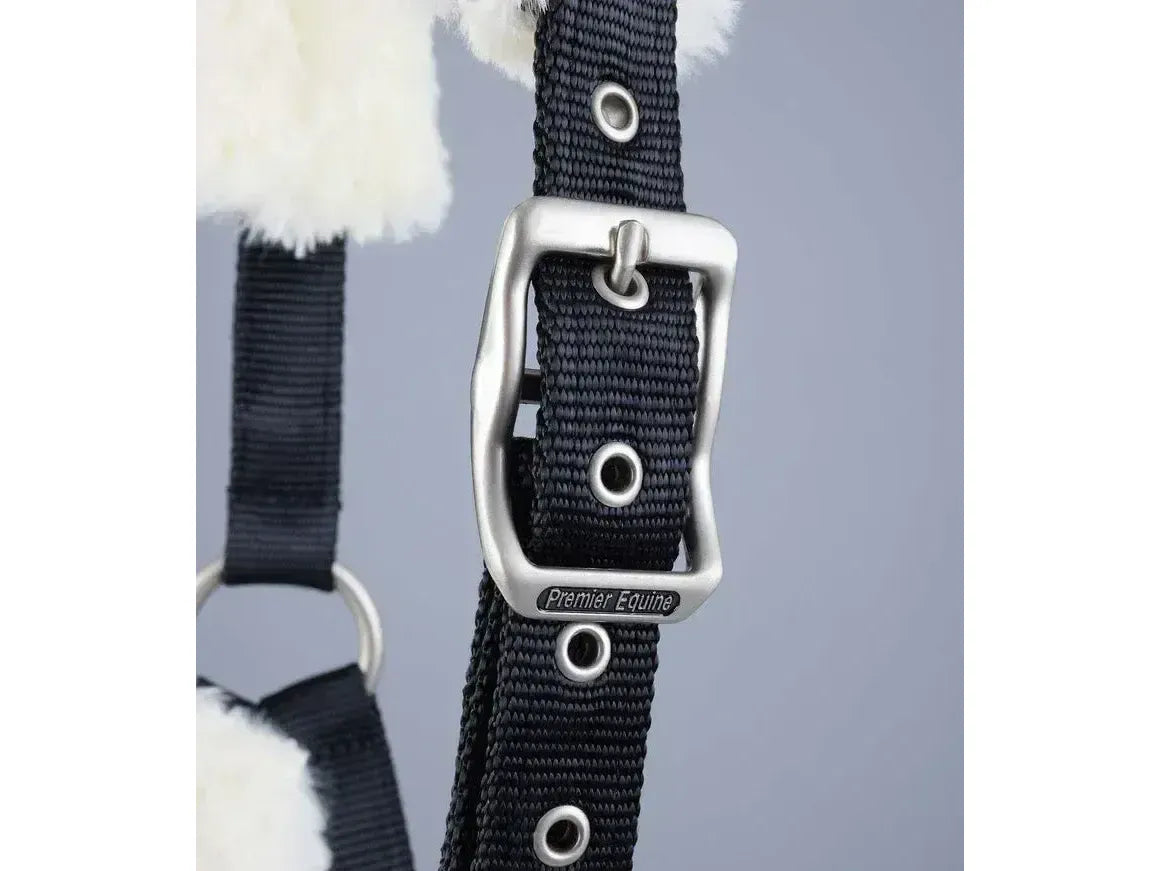 Premier Equine Techno Wool Lined Head Collar