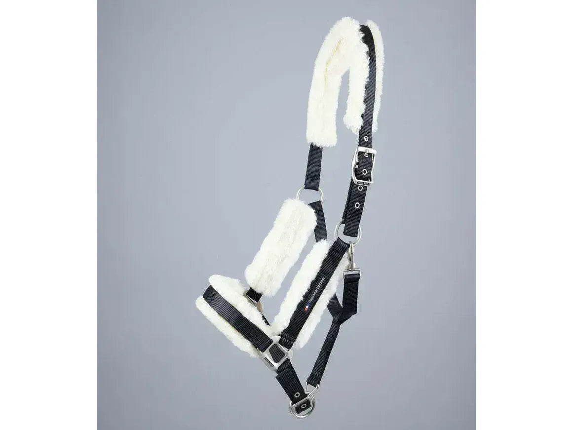 Premier Equine Techno Wool Lined Head Collar