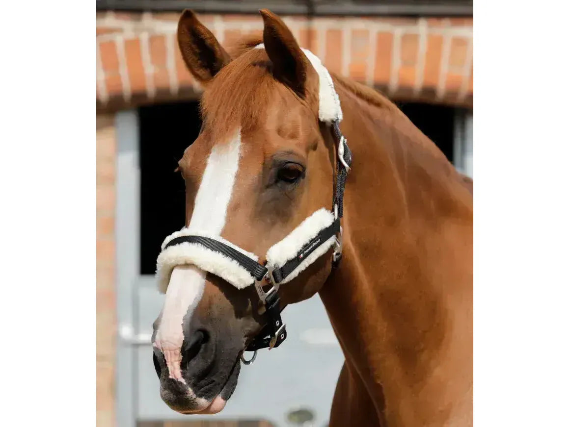 Premier Equine Techno Wool Lined Head Collar