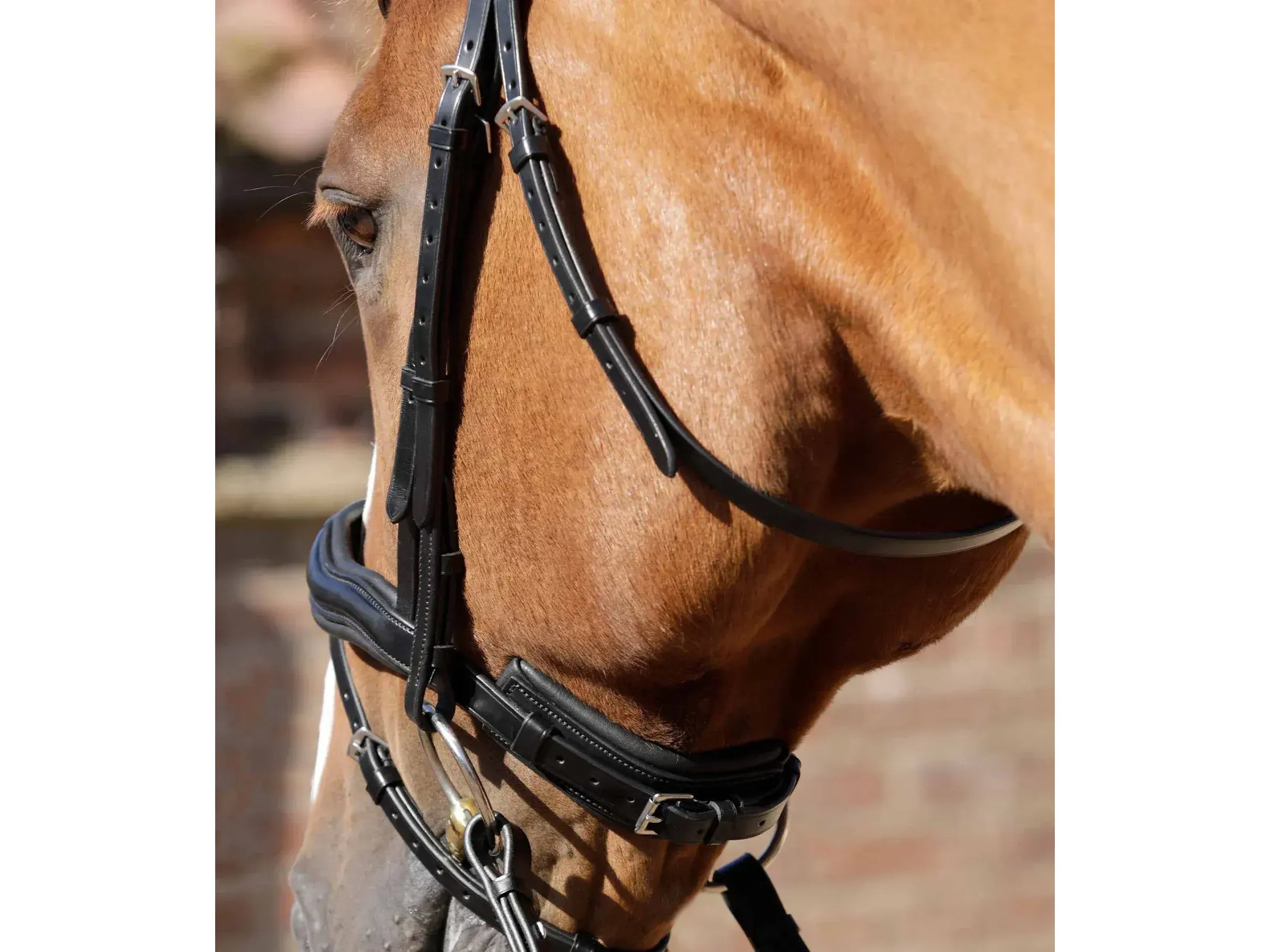 Premier Equine Throatlash