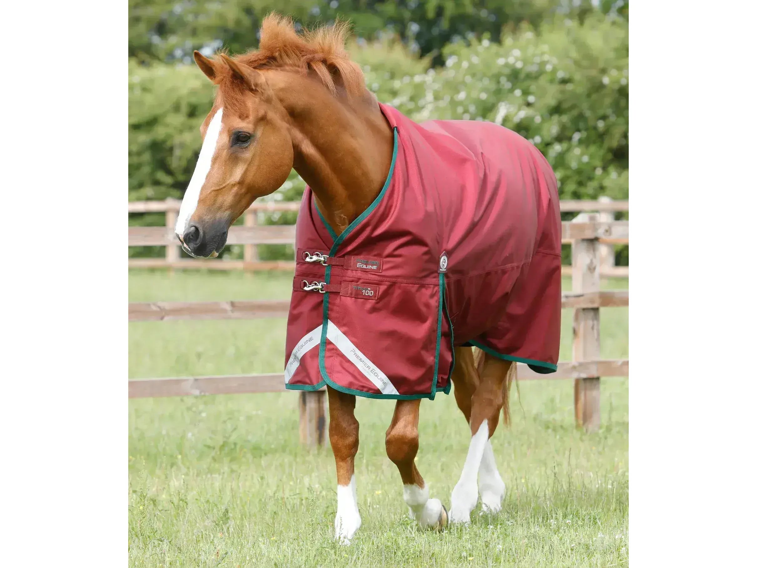 Premier Equine Titan 100g Original Turnout Rug