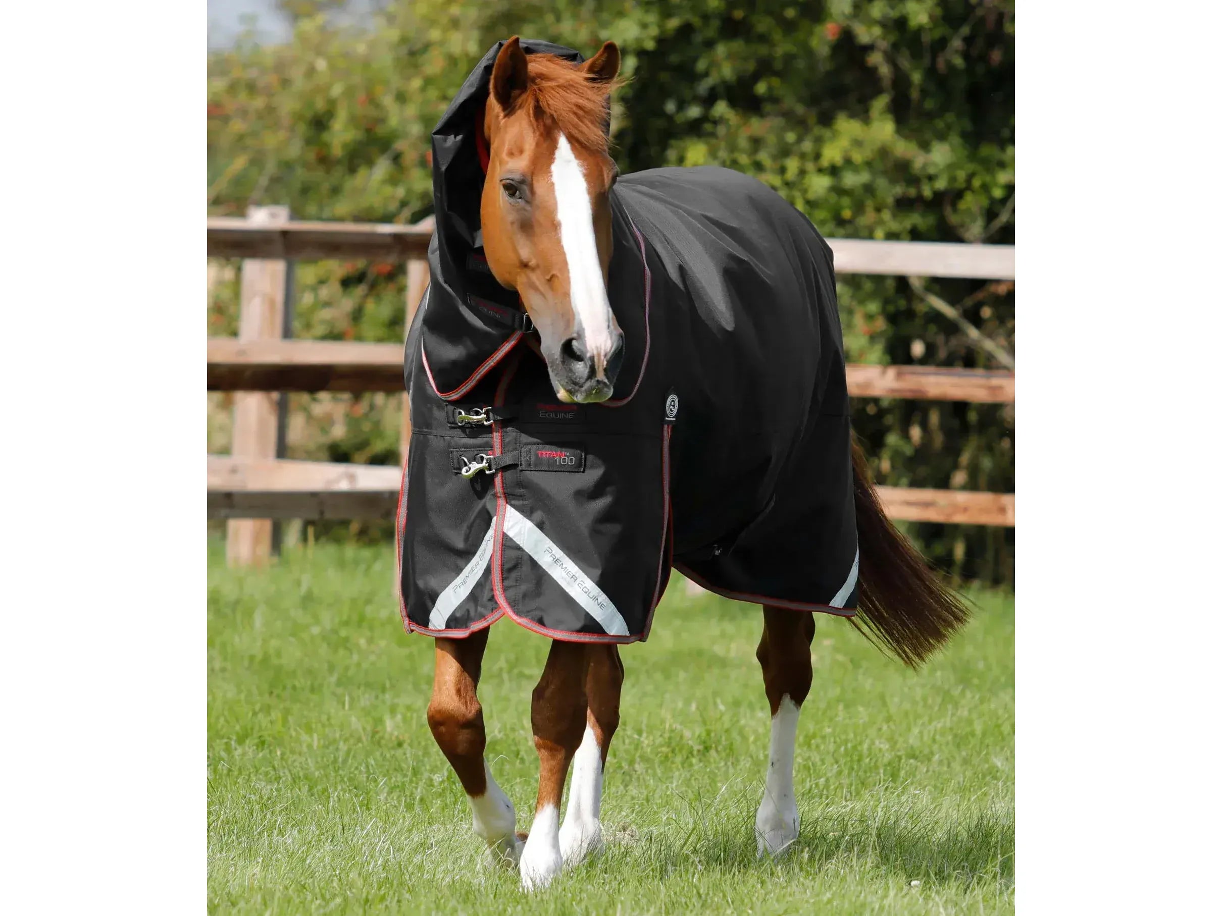 Premier Equine Titan 100g Turnout Rug with Snug-Fit Neck Cover