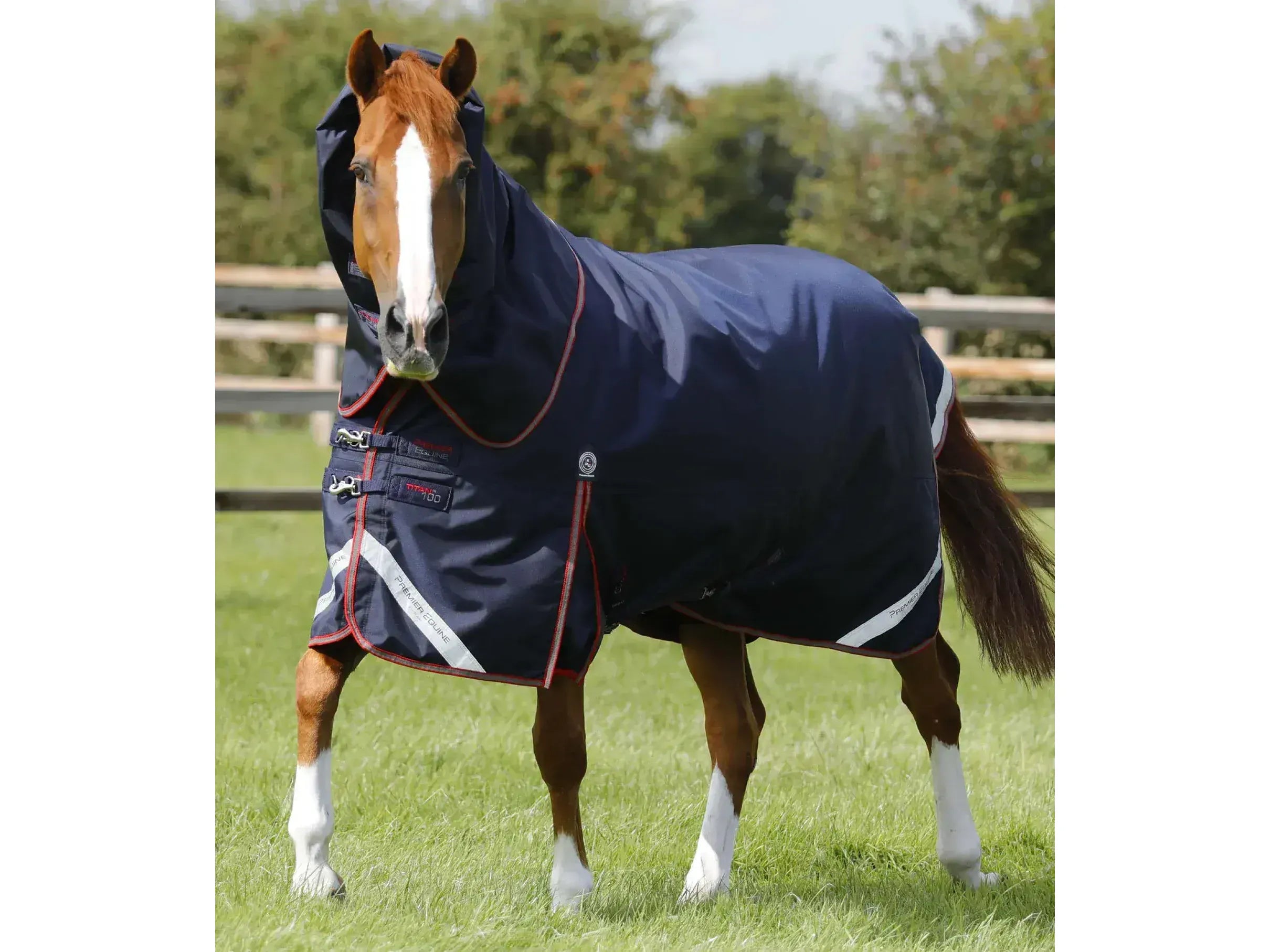 Premier Equine Titan 100g Turnout Rug with Snug-Fit Neck Cover