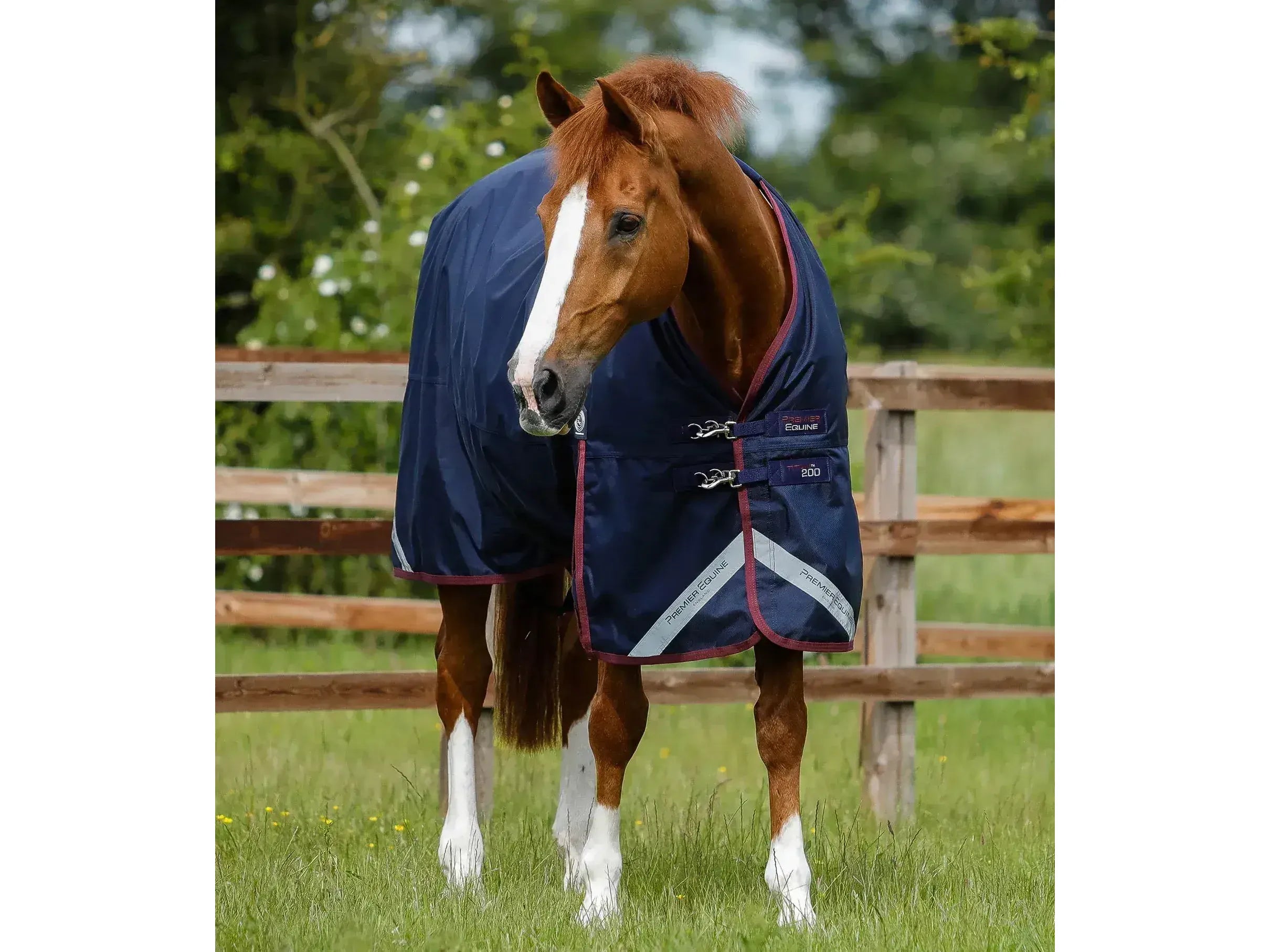 Premier Equine Titan 200g Original Turnout Rug