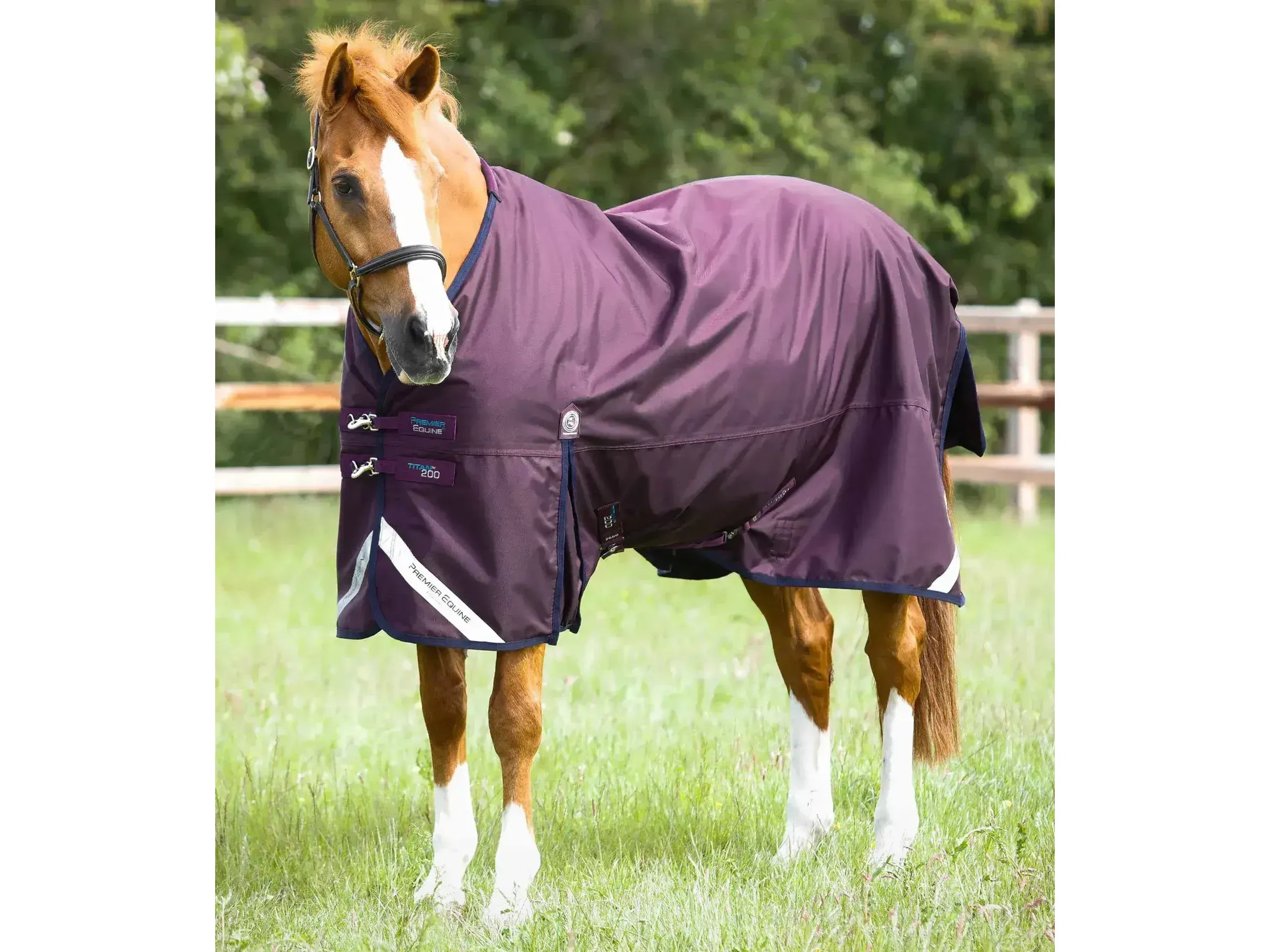 Premier Equine Titan 200g Original Turnout Rug