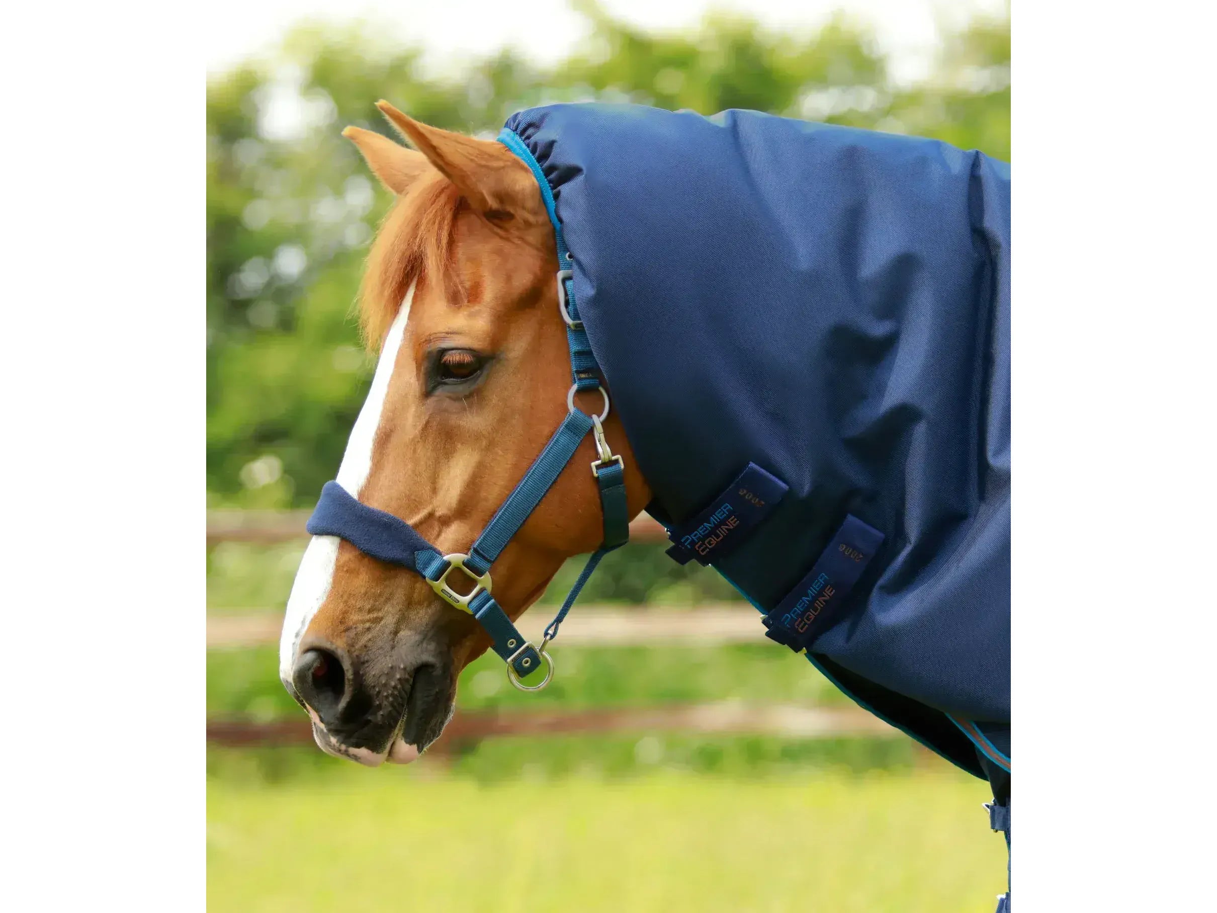 Premier Equine Titan 200g Turnout Rug with Snug-Fit Neck Cover