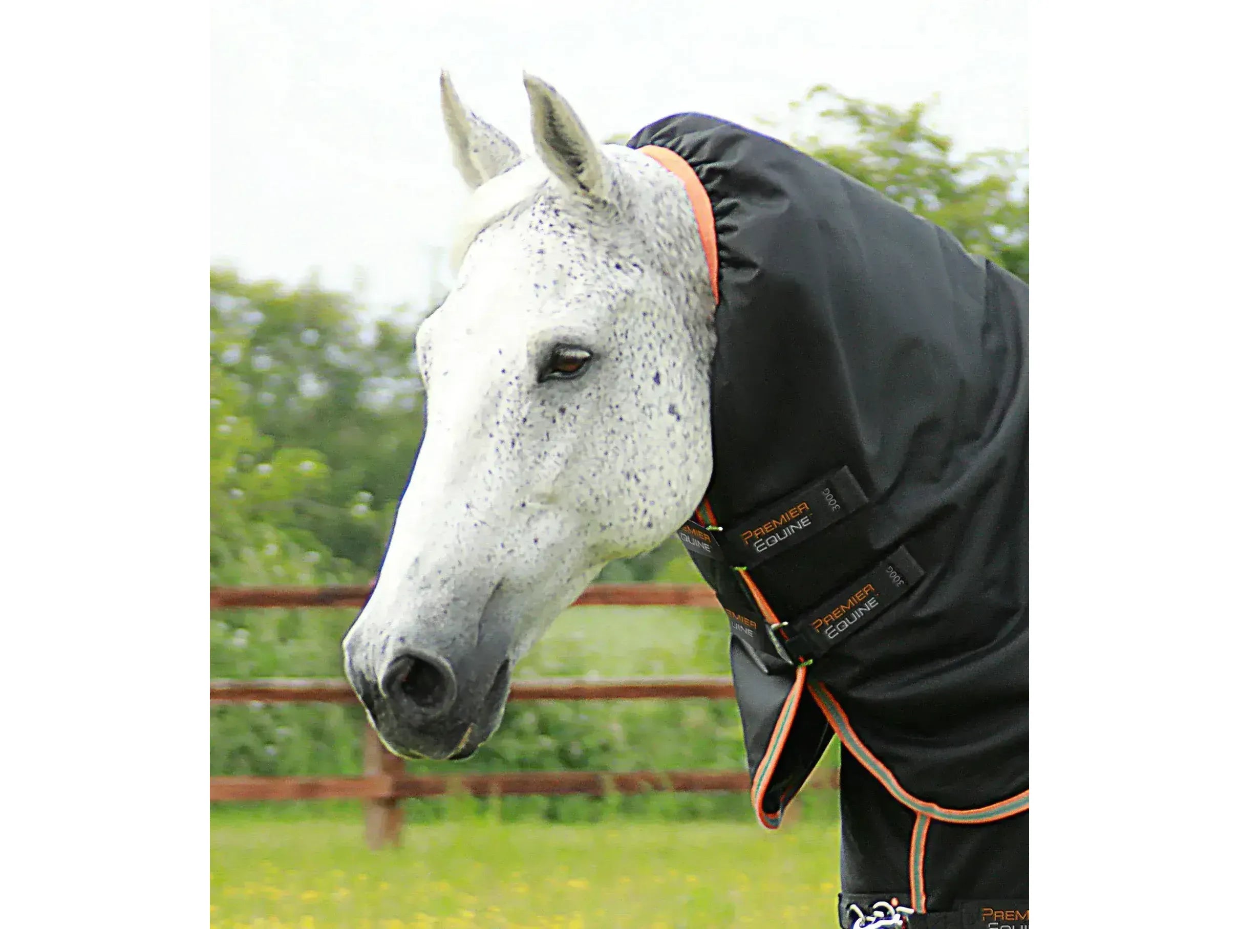 Premier Equine Titan with Snug Neck Cover 300g - 7ft 3 inch - Brown RRP £240.00