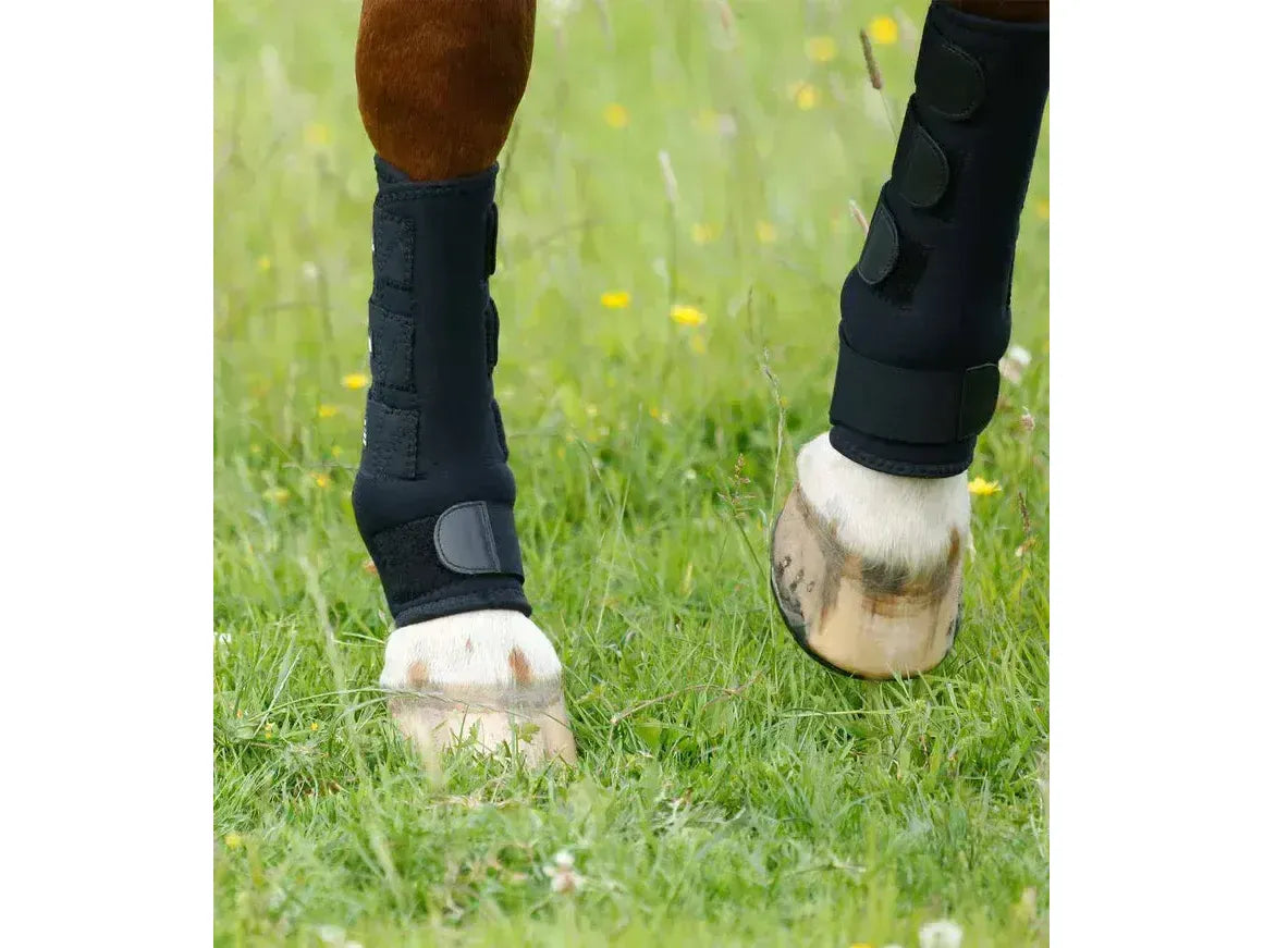 Premier Equine Turnout Boots