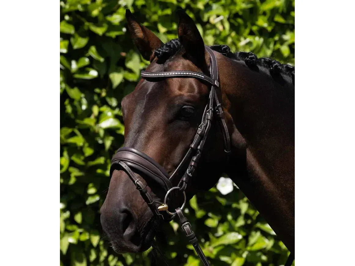 Premier Equine Veneto Anatomical Snaffle Bridle