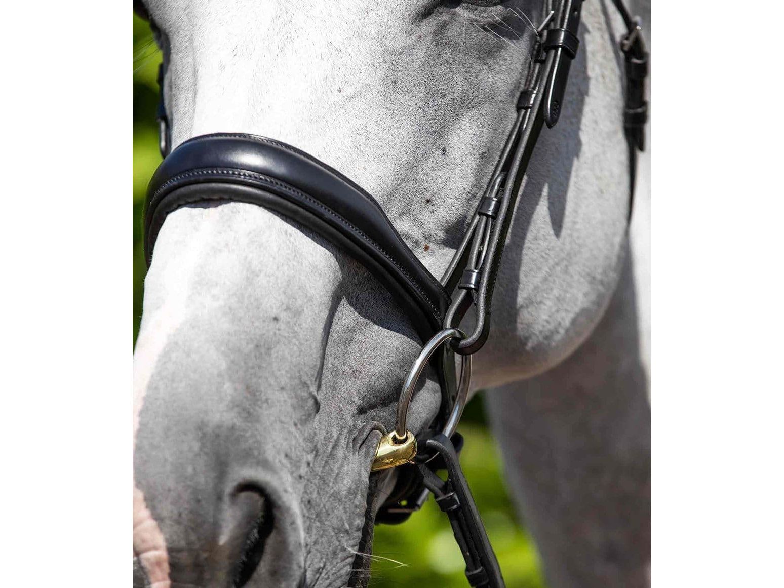 Premier Equine Verdura Anatomic Cavesson Noseband