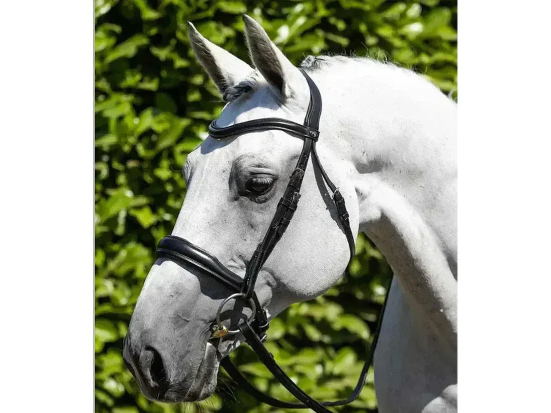 Premier Equine Verdura Anatomic Snaffle Bridle ExFull Black RRP £96.62