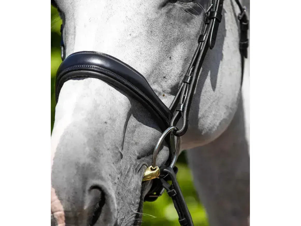 Premier Equine Verdura Anatomic Snaffle Bridle
