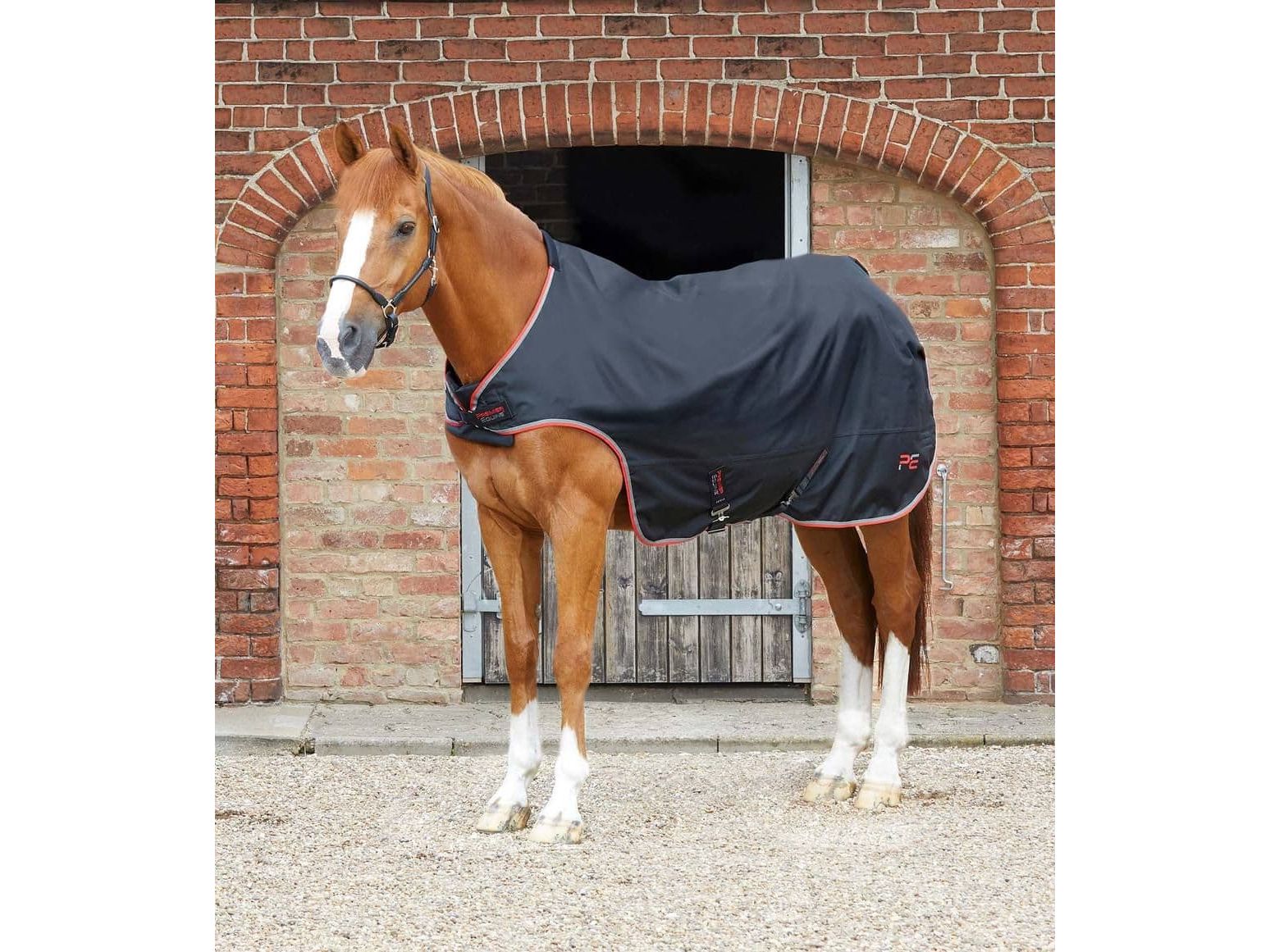 Premier Equine Walker Rug 100g