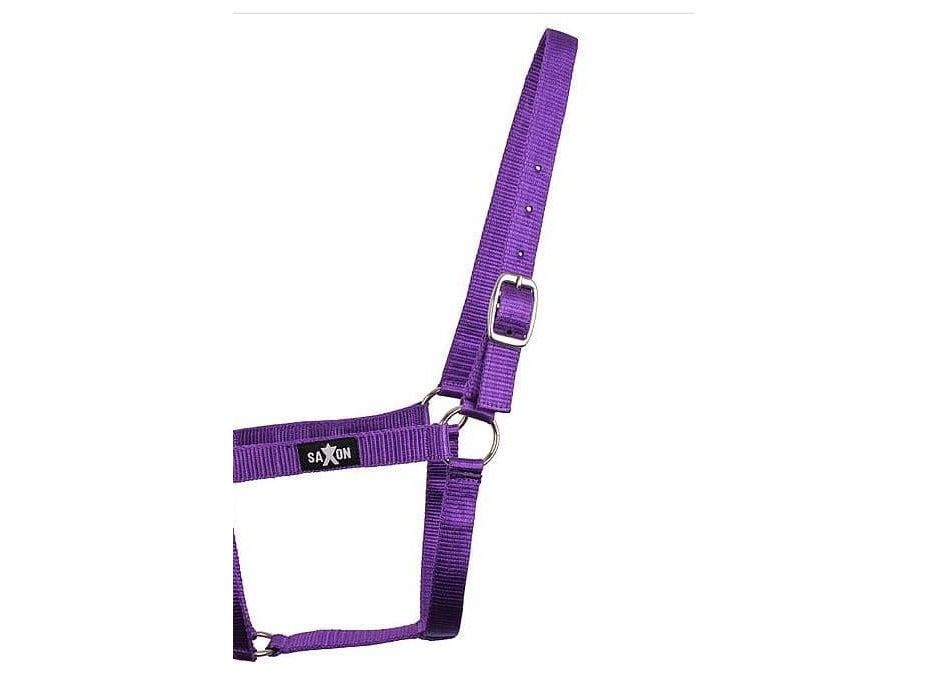 Saxon Economy Headcollar