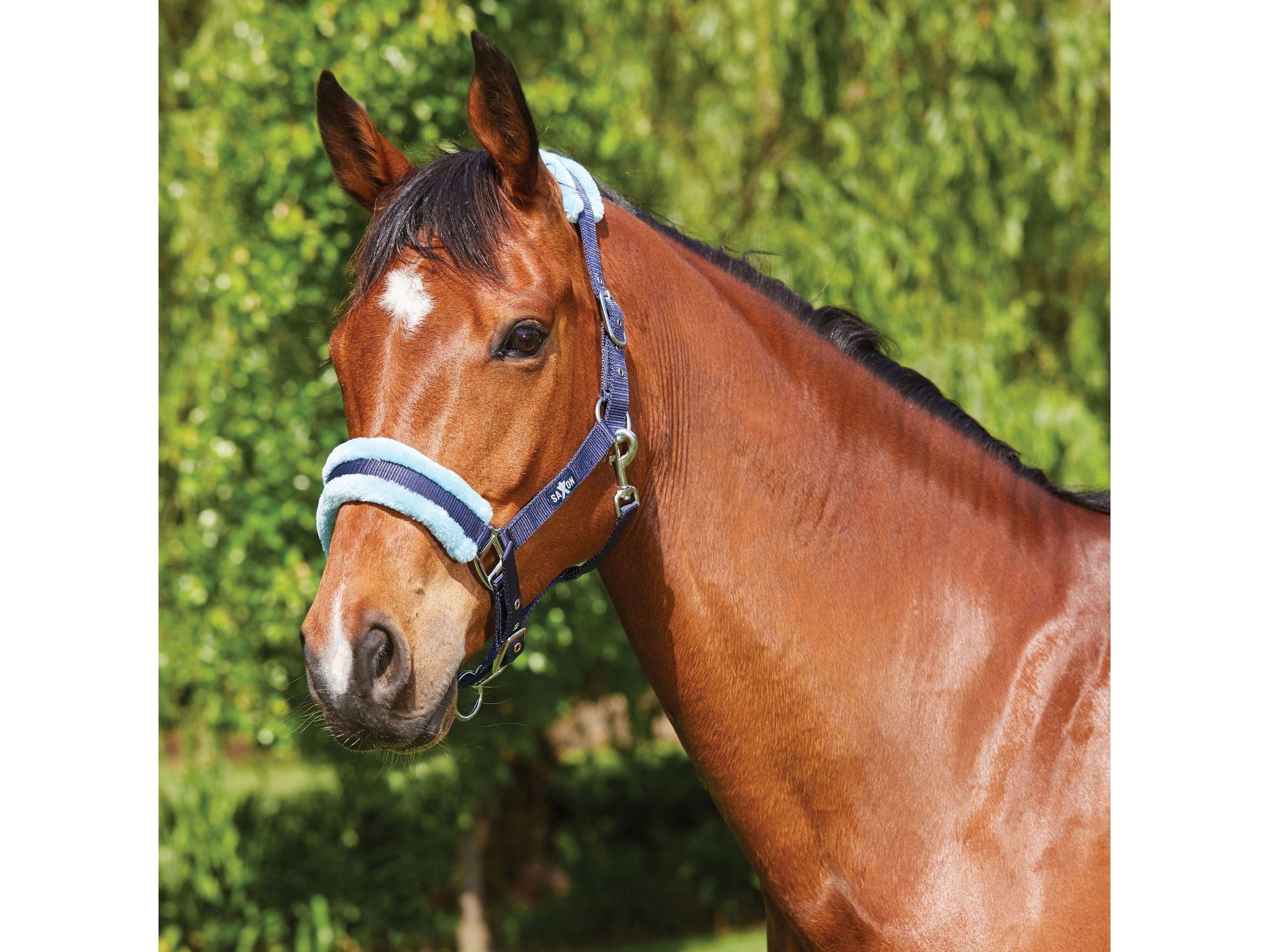 Saxon Element Fleece Headcollar