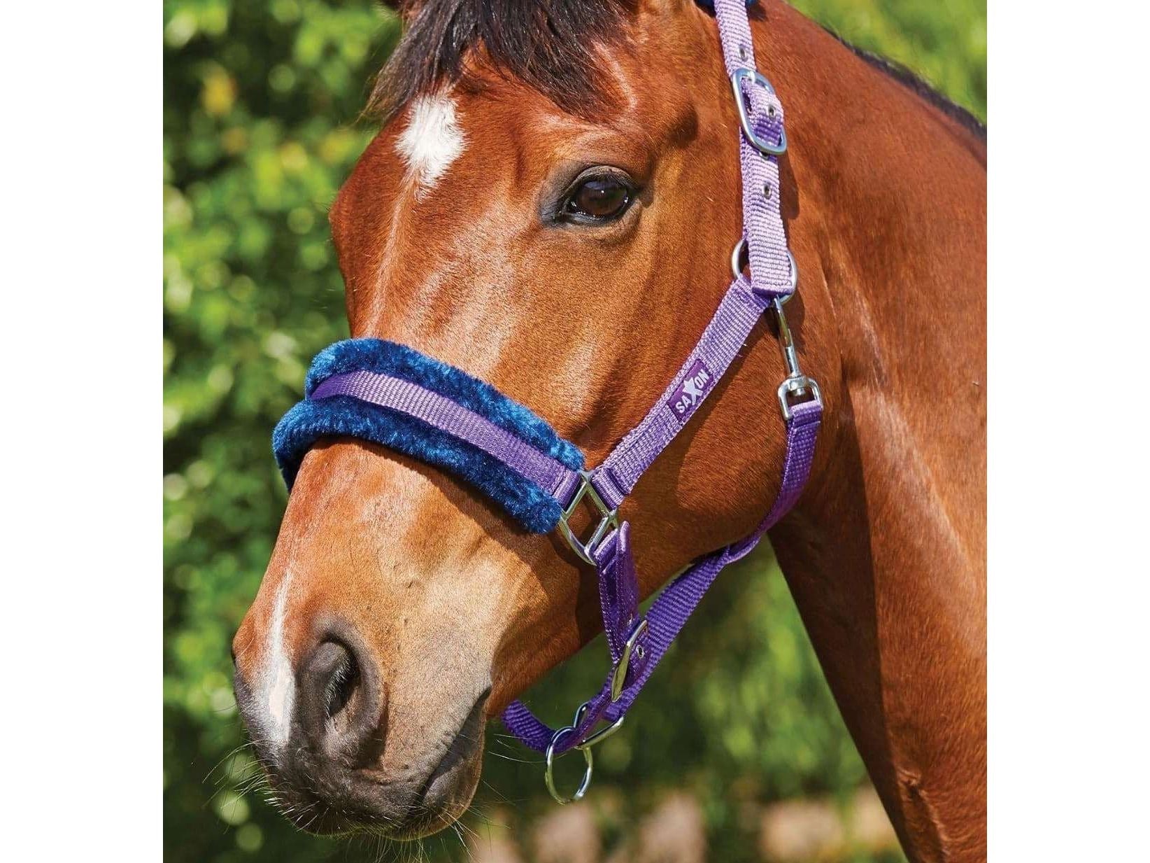 Saxon Element Fleece Headcollar