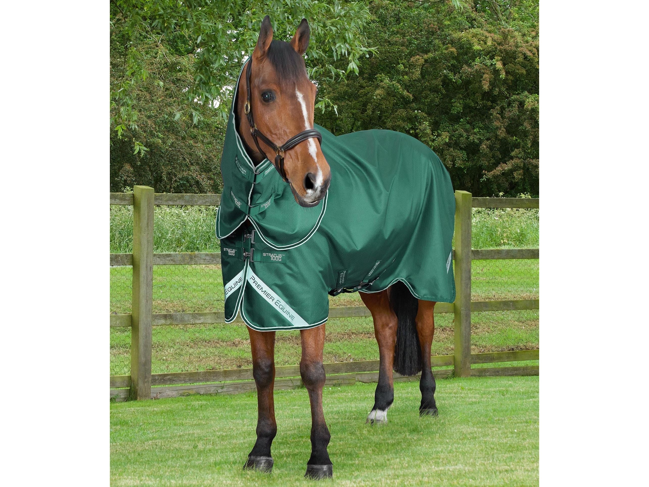 Stratus 600D Series 100g Turnout Rug with Classic Neck Cover