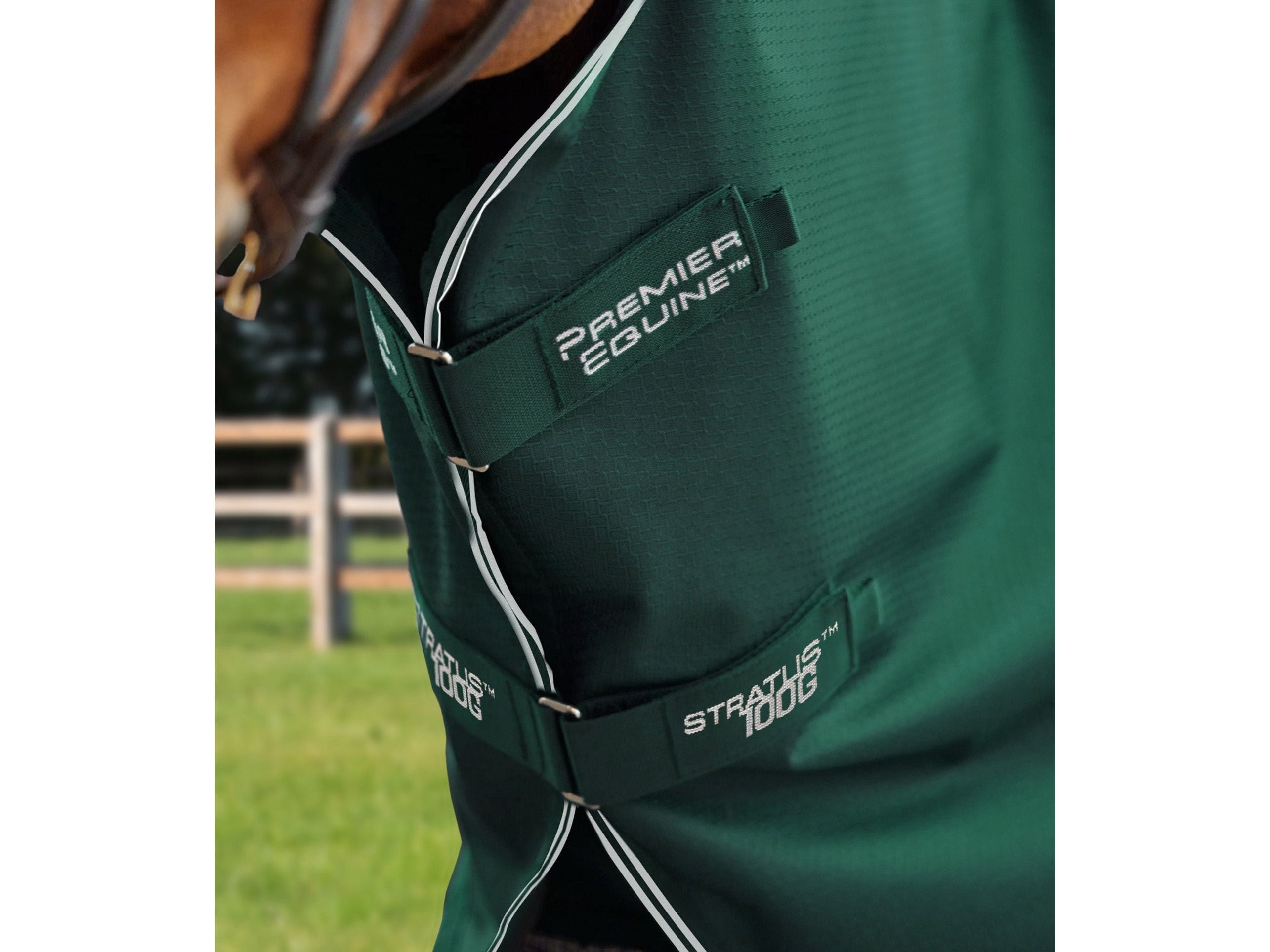Stratus 600D Series 100g Turnout Rug with Classic Neck Cover