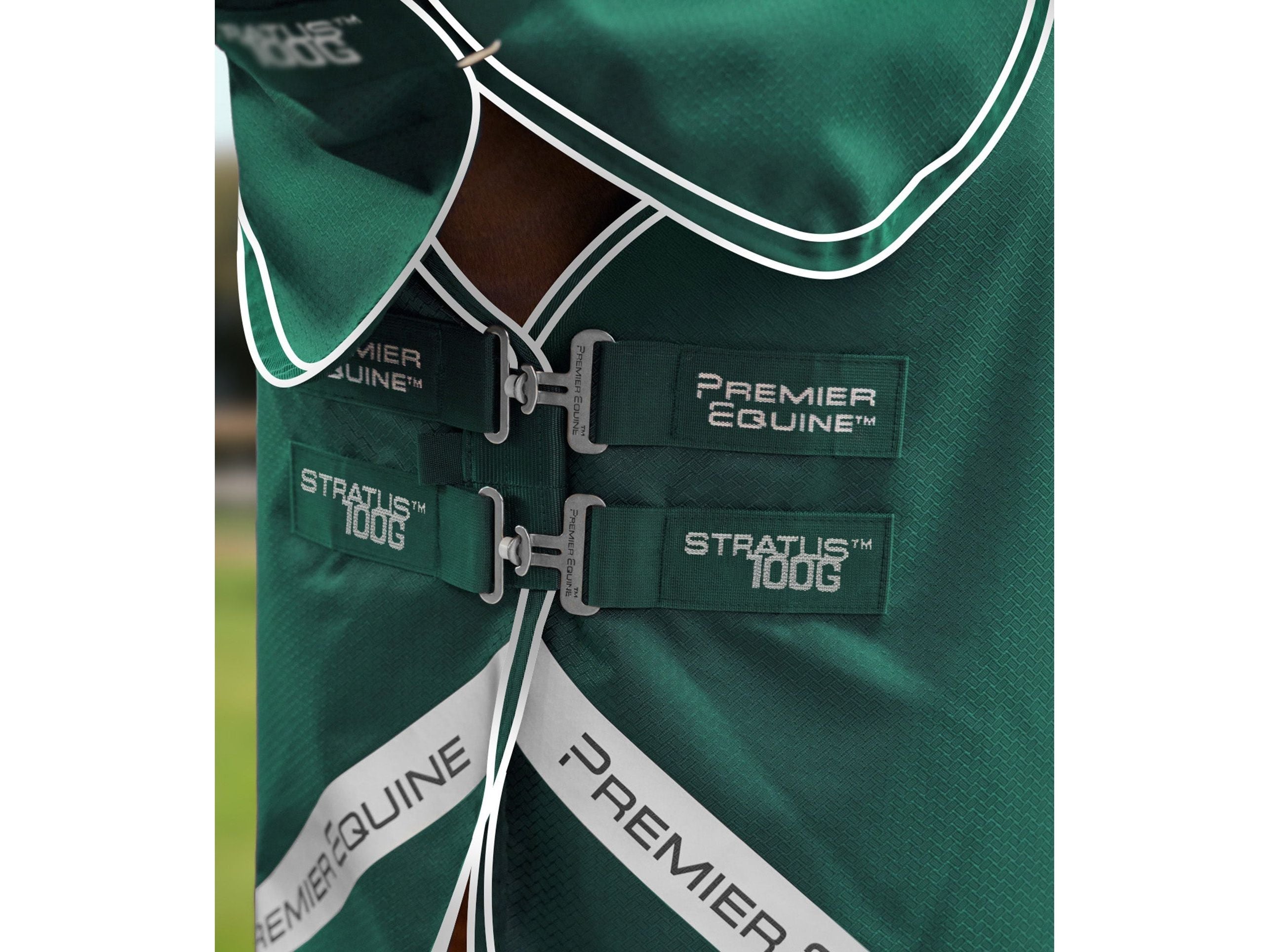Stratus 600D Series 100g Turnout Rug with Classic Neck Cover