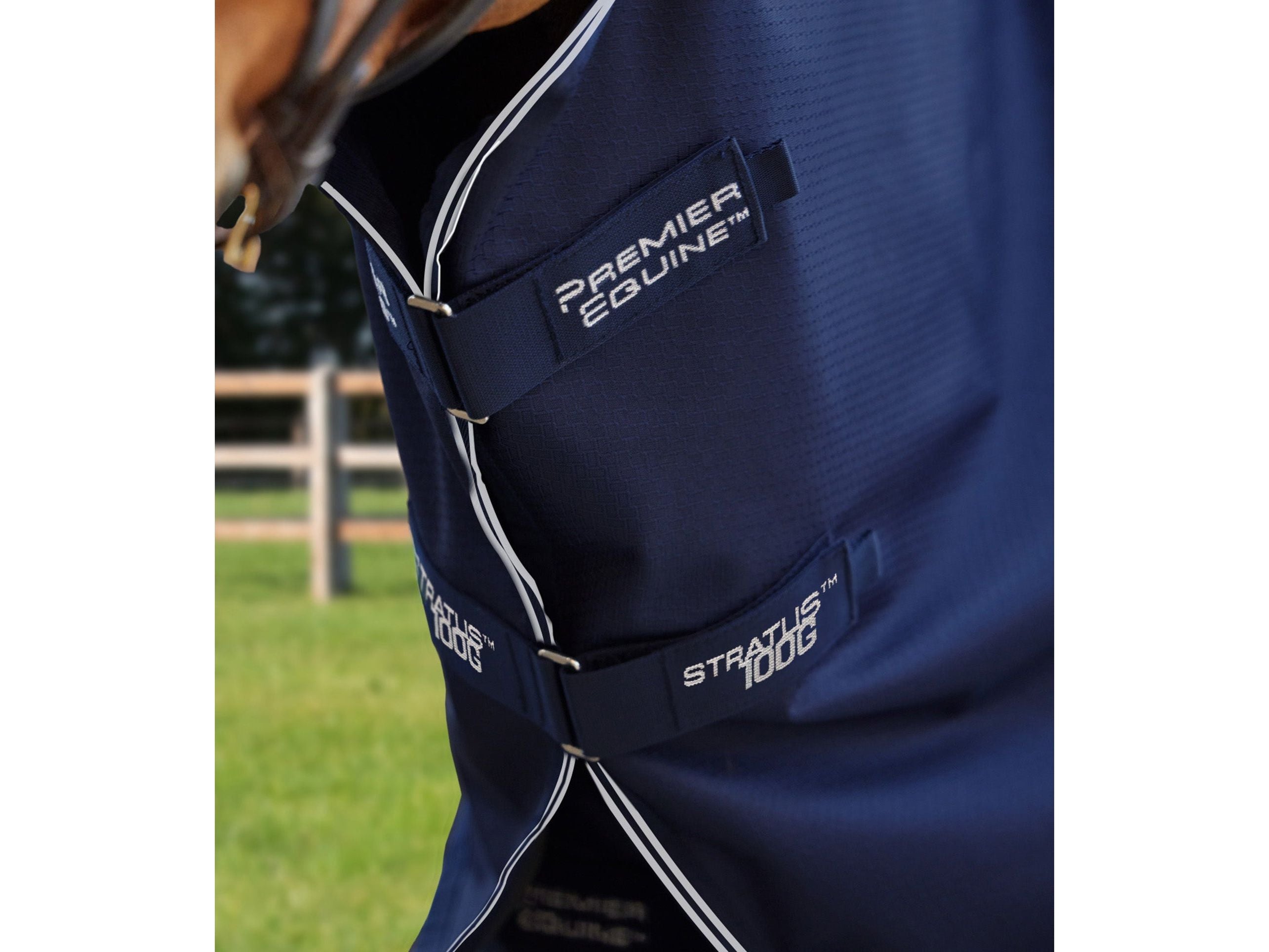 Stratus 600D Series 100g Turnout Rug with Classic Neck Cover