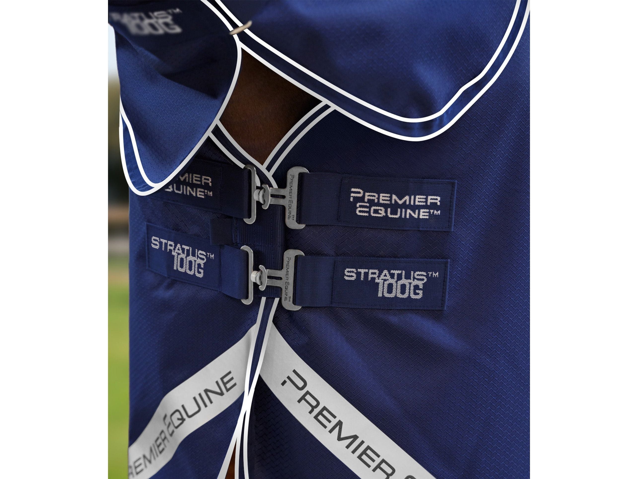 Stratus 600D Series 100g Turnout Rug with Classic Neck Cover