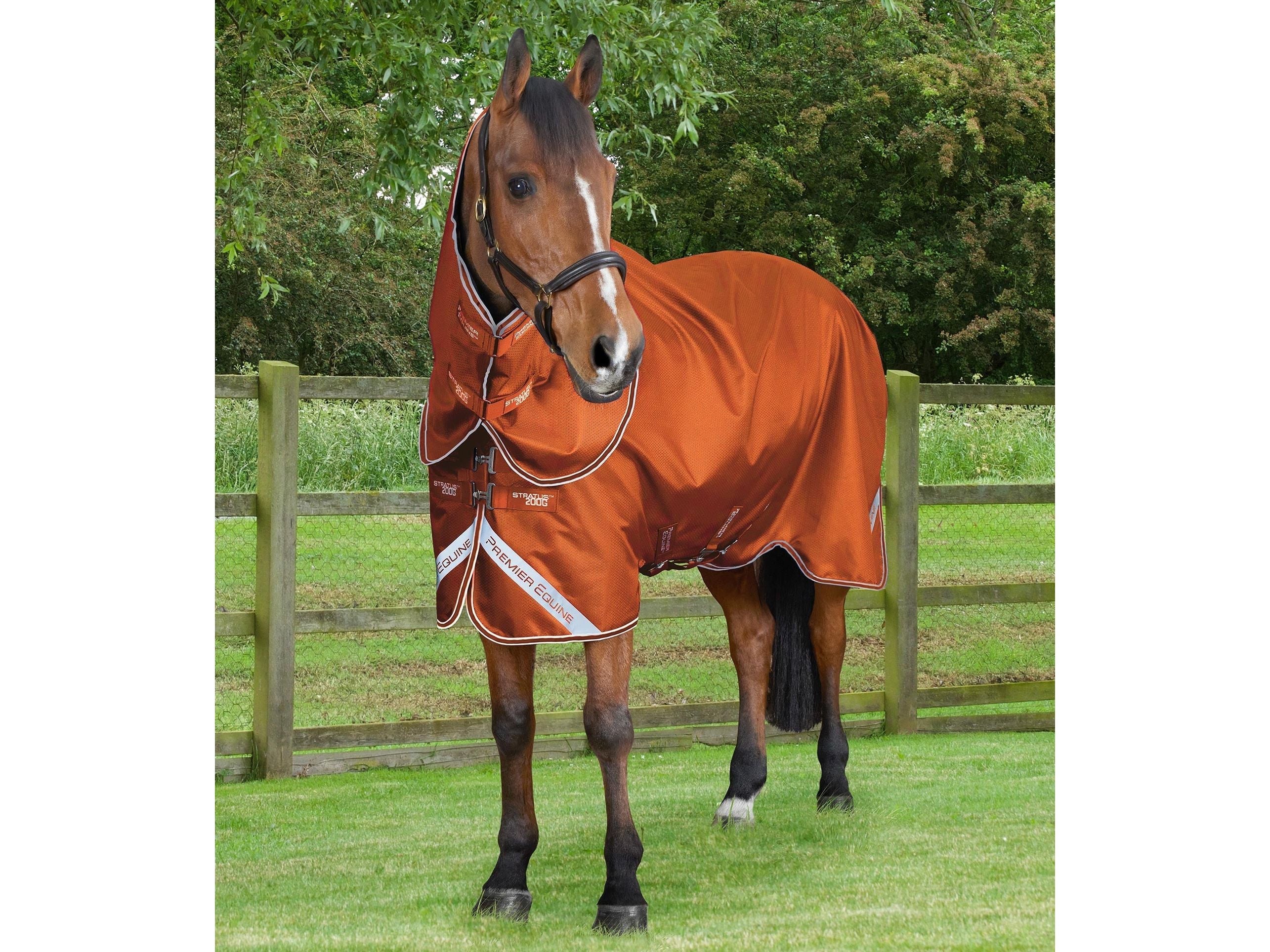 Stratus 600D Series 200g Turnout Rug with Classic Neck Cover