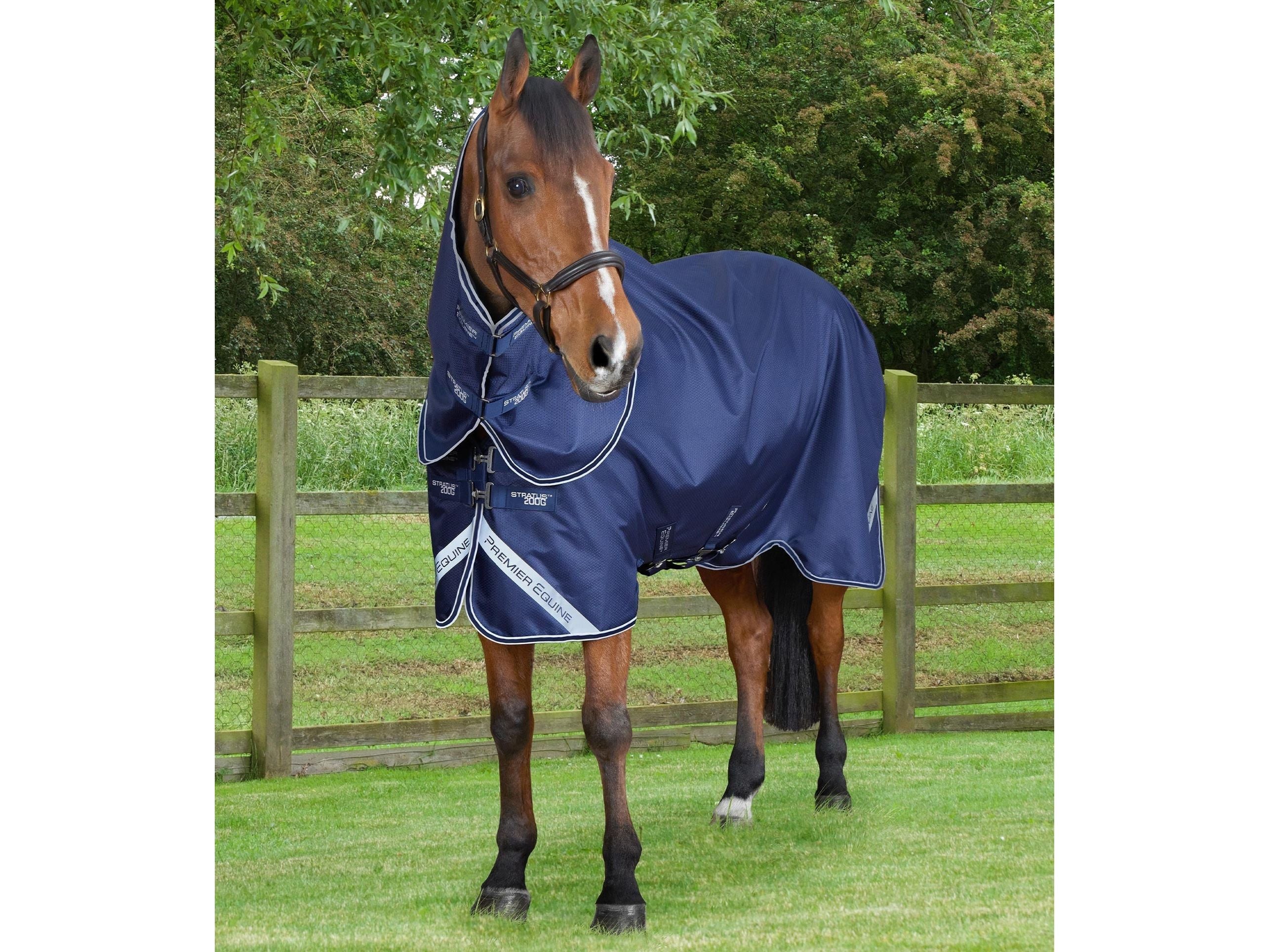 Stratus 600D Series 200g Turnout Rug with Classic Neck Cover