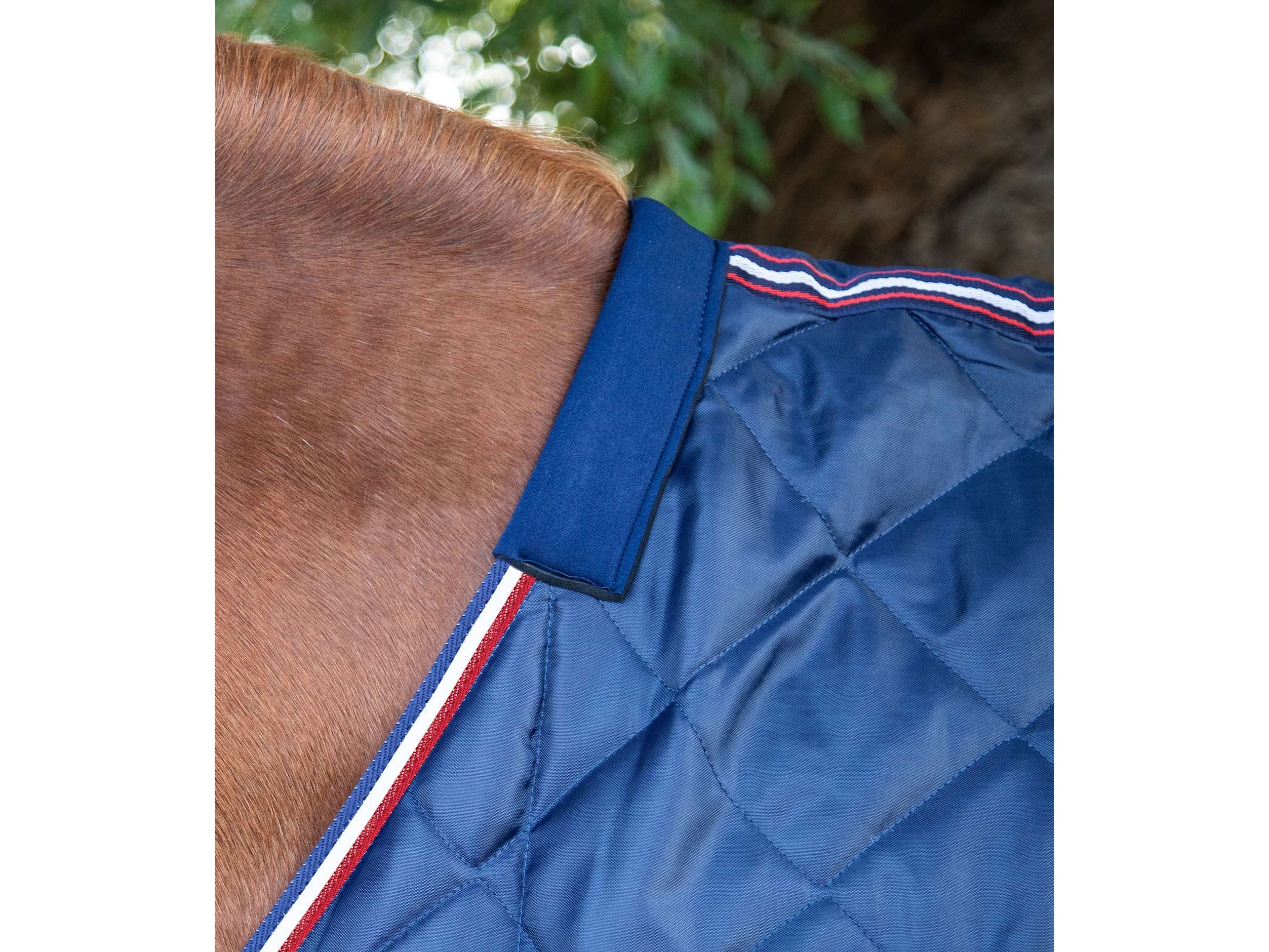Tuscan Stable Rug 100g