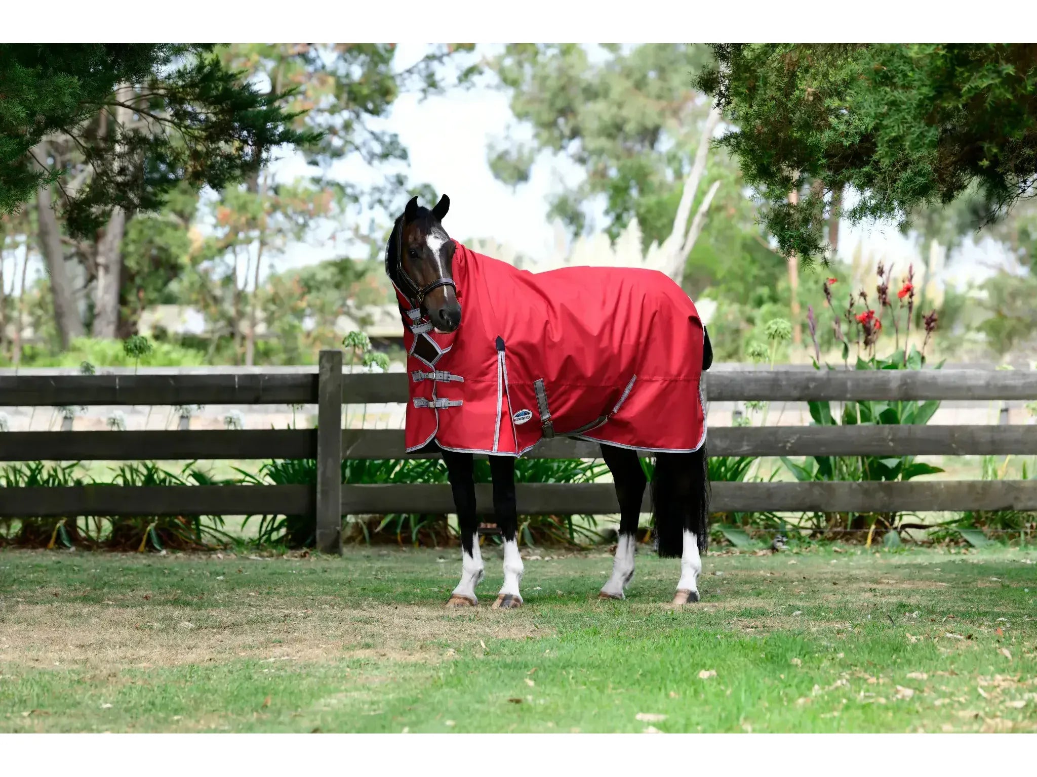 Weatherbeeta Comfitec Classic Combo Neck 50g Lite Plus