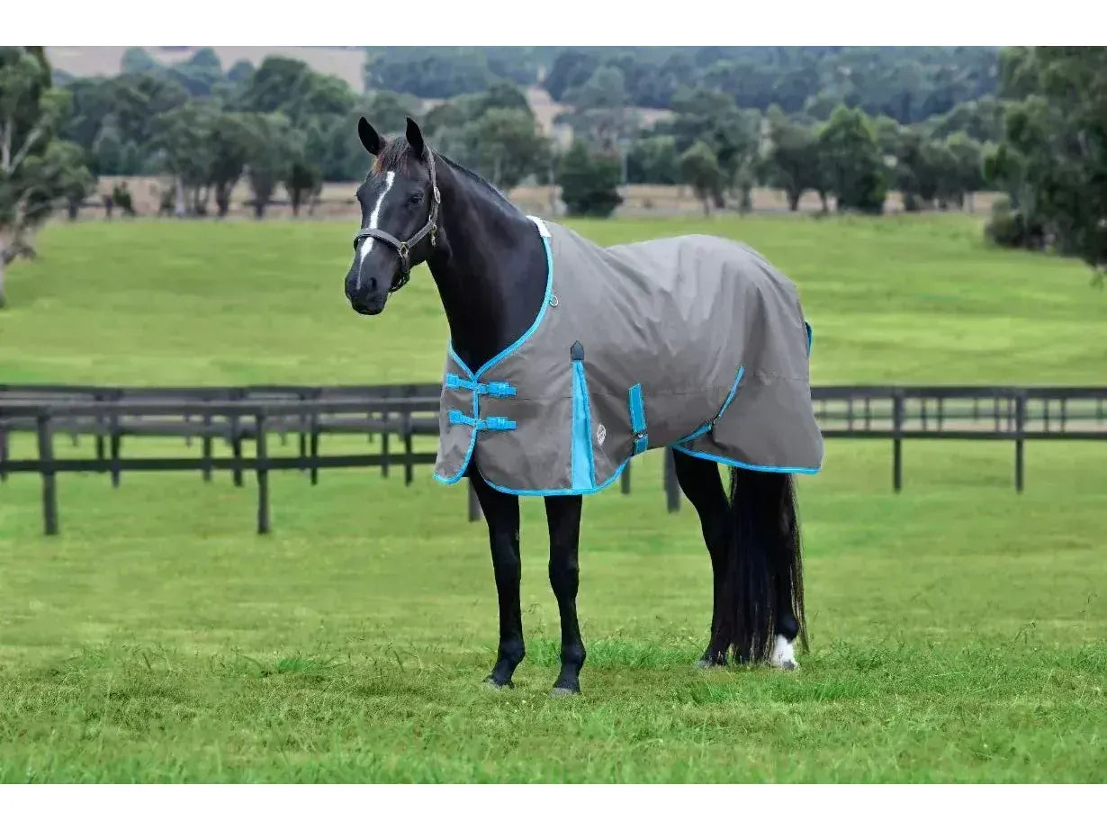 Weatherbeeta Comfitec Classic Standard Neck 50g Lite Plus Grey / Bright Blue / White