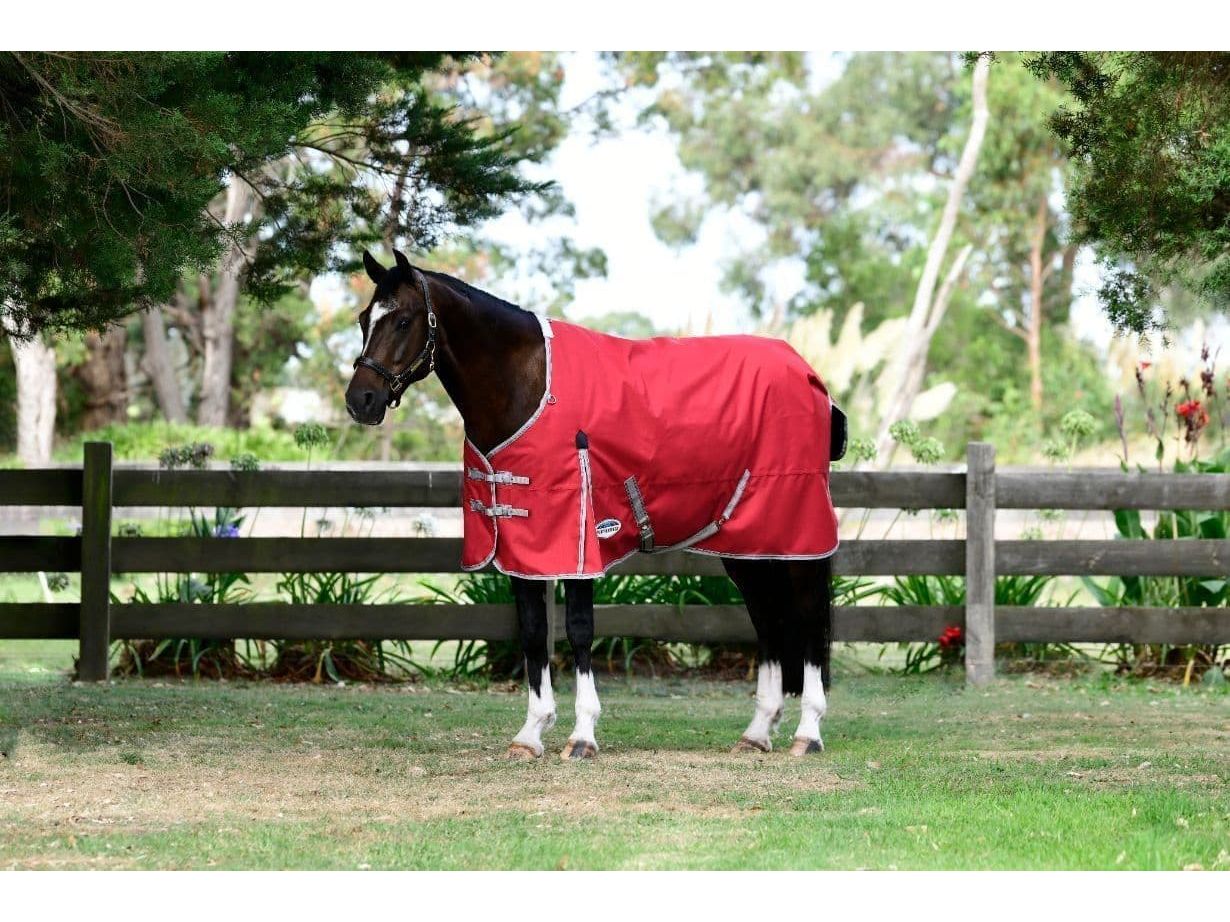 Weatherbeeta Comfitec Classic Standard Neck 50g Lite Plus Red / Silver / Navy