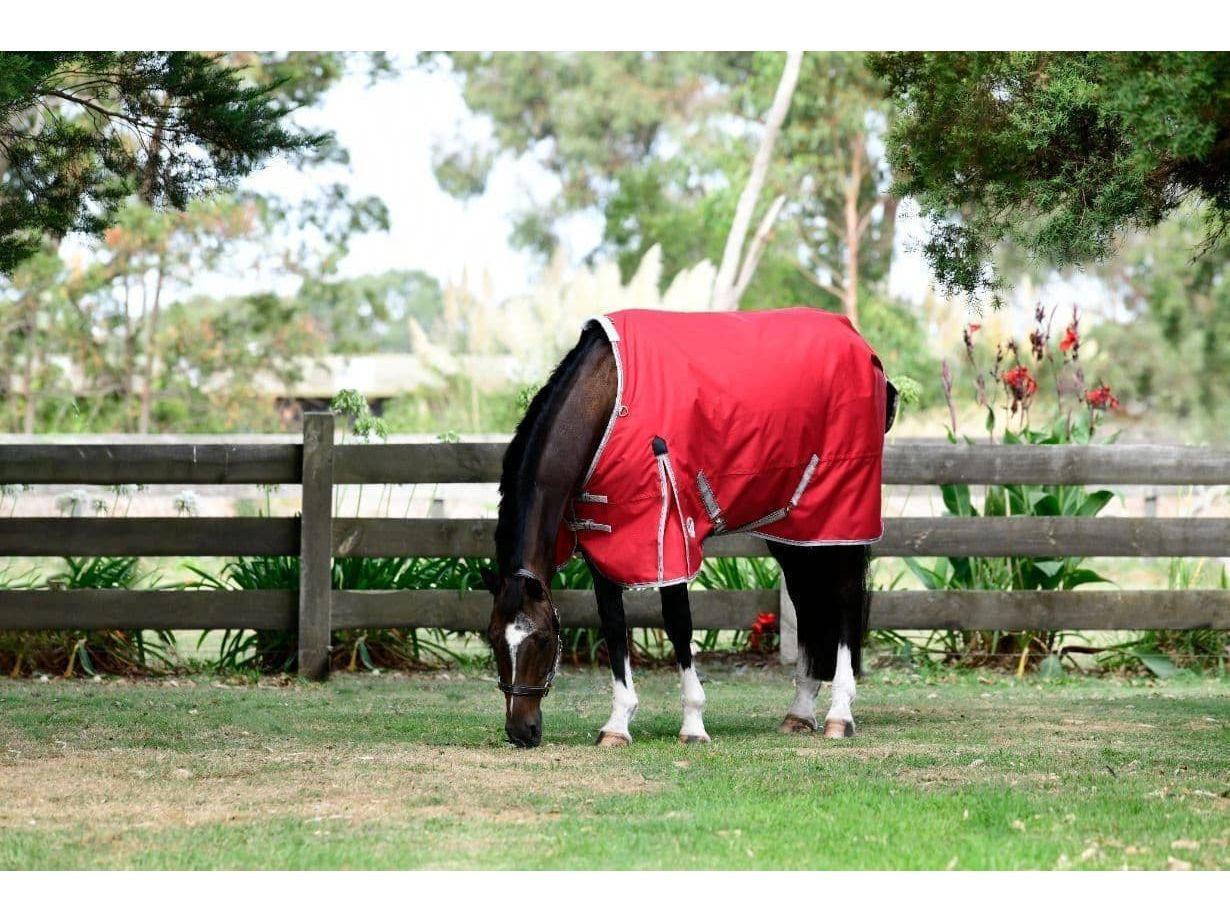 Weatherbeeta Comfitec Classic Standard Neck 50g Lite Plus Red / Silver / Navy