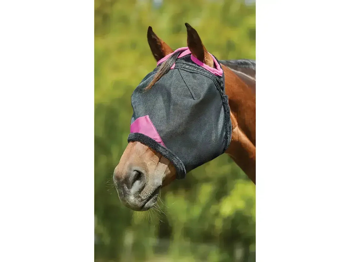 Weatherbeeta Comfitec Deluxe Durable Mesh Mask