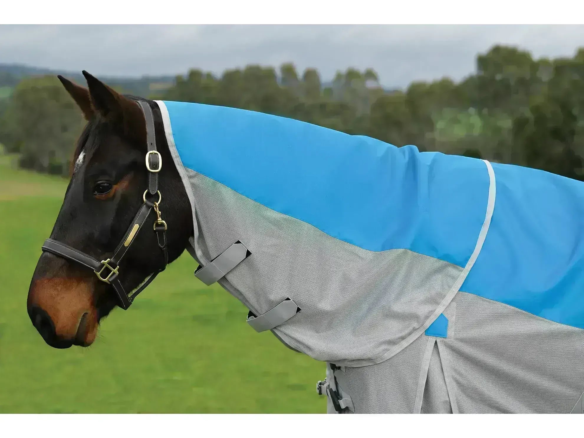 Weatherbeeta Comfitec Dual Shield Detach-A-Neck