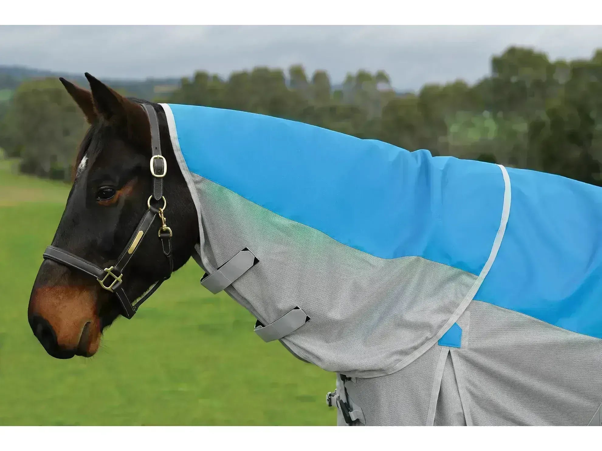 Weatherbeeta Comfitec Dual Shield Detach-A-Neck