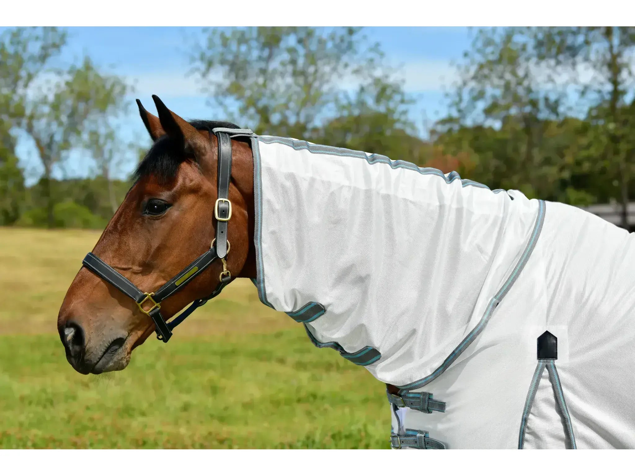 Weatherbeeta Comfitec Essential Mesh II Combo Neck