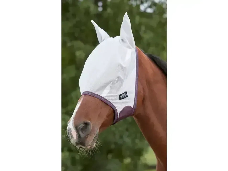 Weatherbeeta Comfitec Essential Mesh Mask