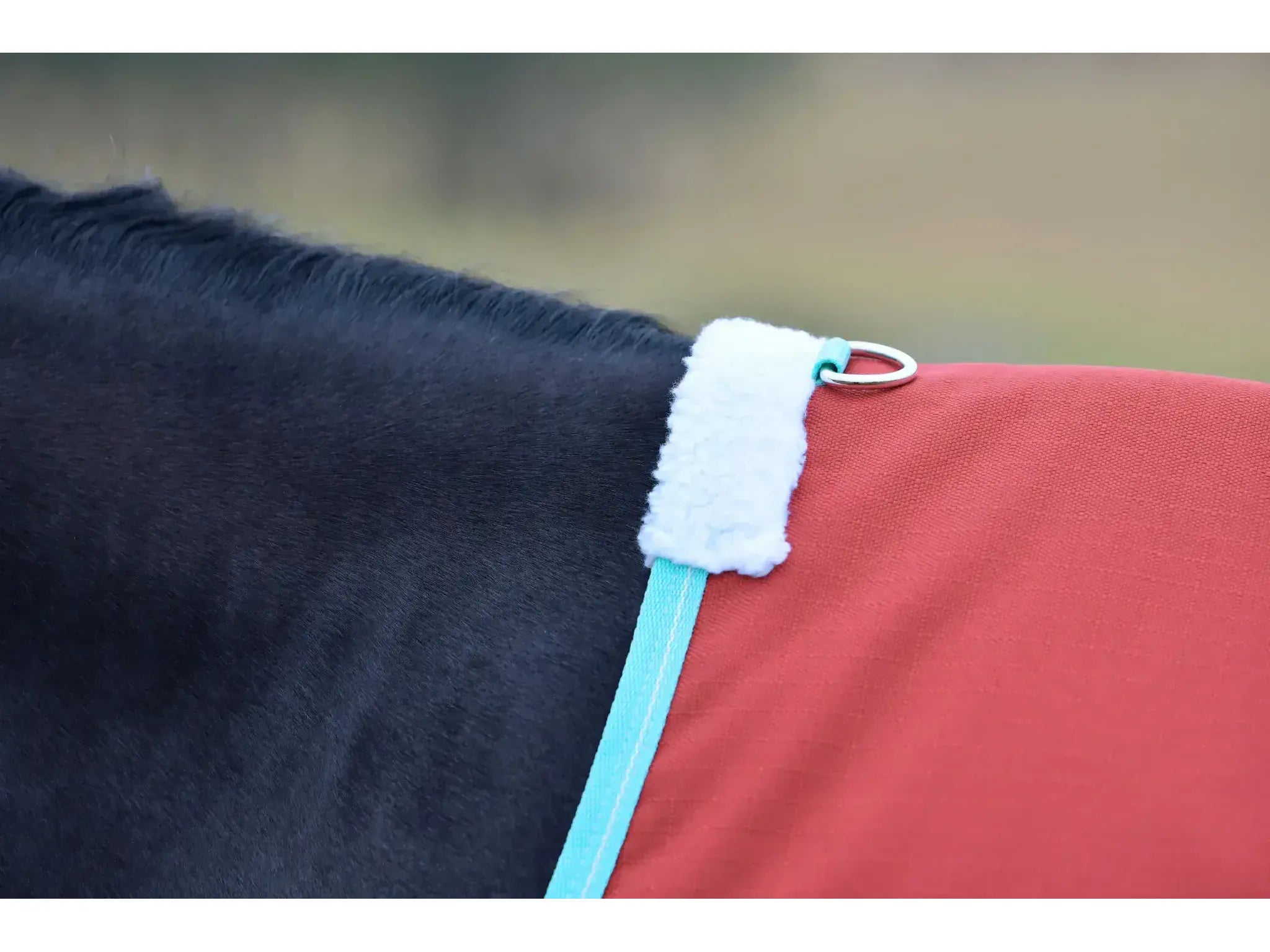 Weatherbeeta Comfitec Essential Standard Neck 50g Lite Plus