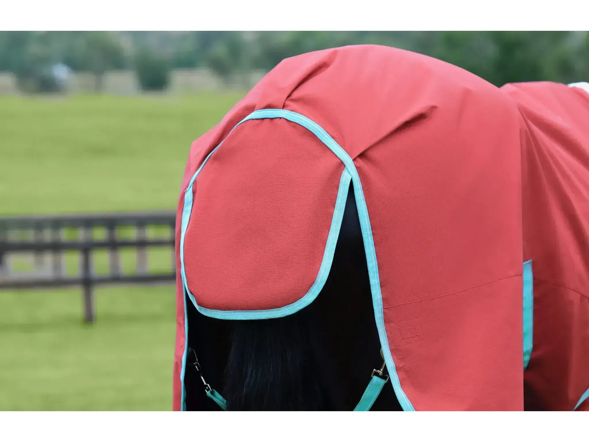Weatherbeeta Comfitec Essential Standard Neck 50g Lite Plus