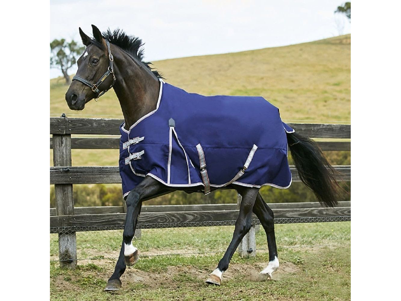Weatherbeeta Comfitec Essential Standard Neck Lite Plus Turnout Rug Navy/Silver/Red