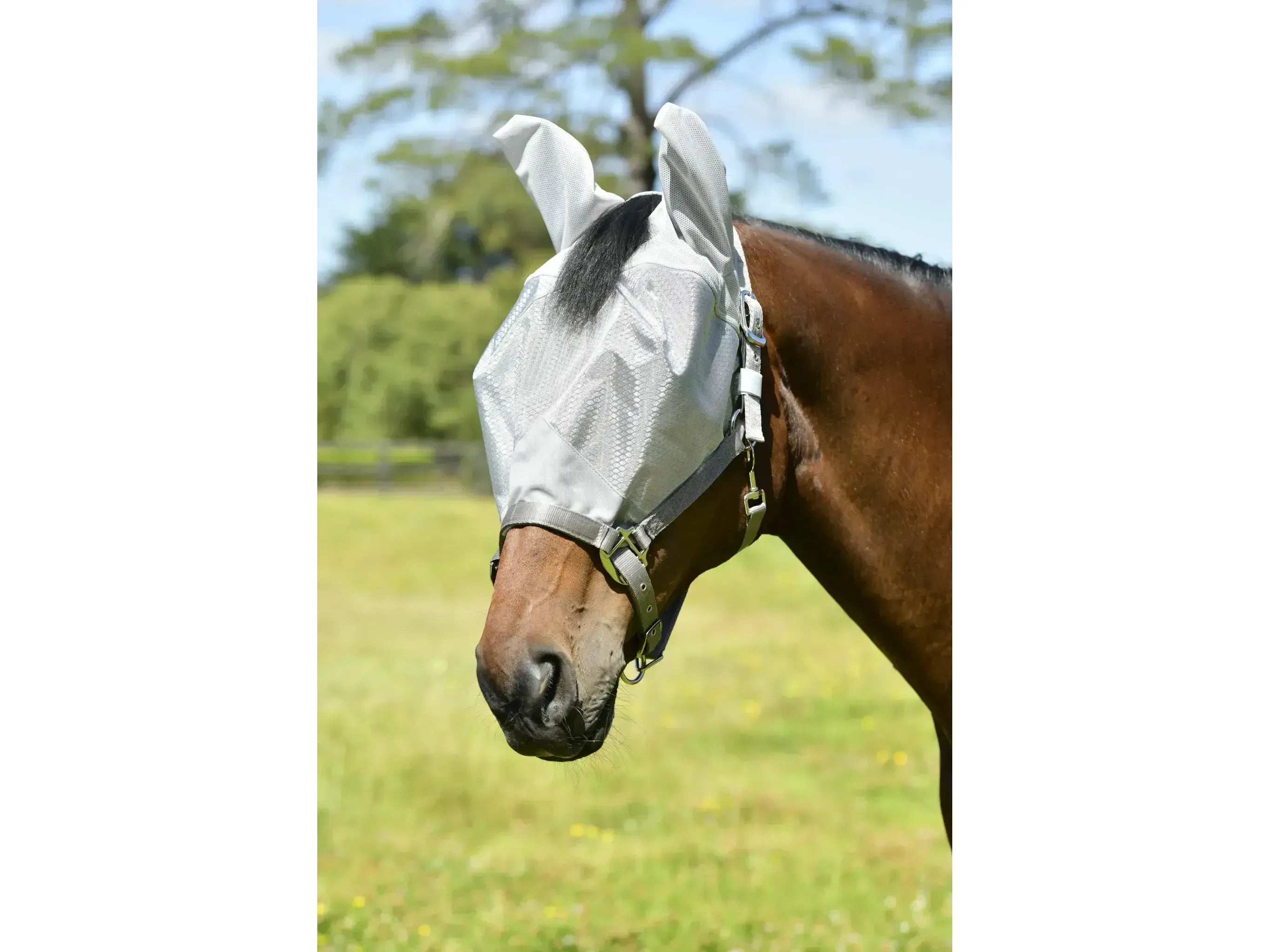 Weatherbeeta Comfitec Hexi Shield Dual Fly Mask