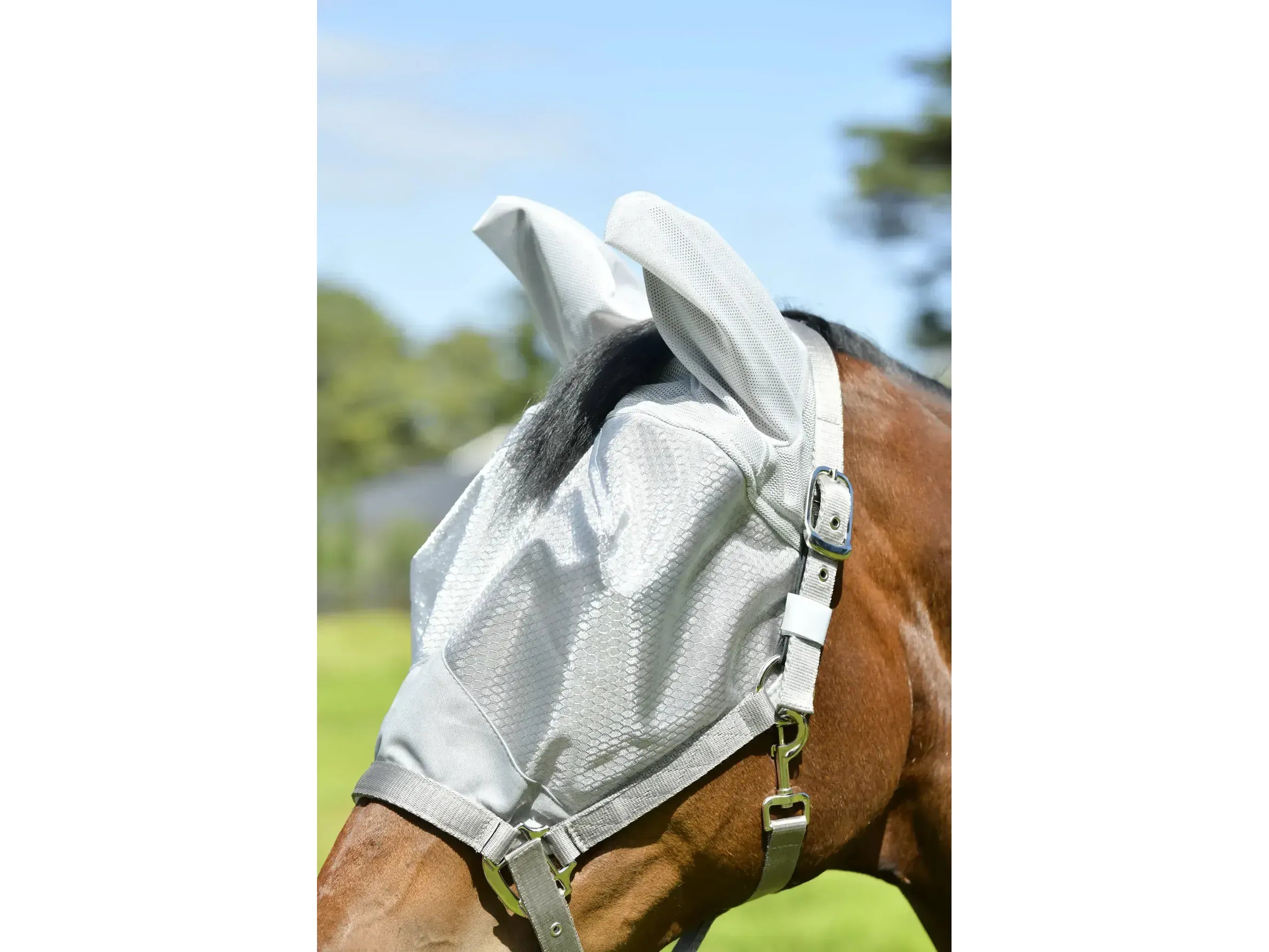 Weatherbeeta Comfitec Hexi Shield Dual Fly Mask