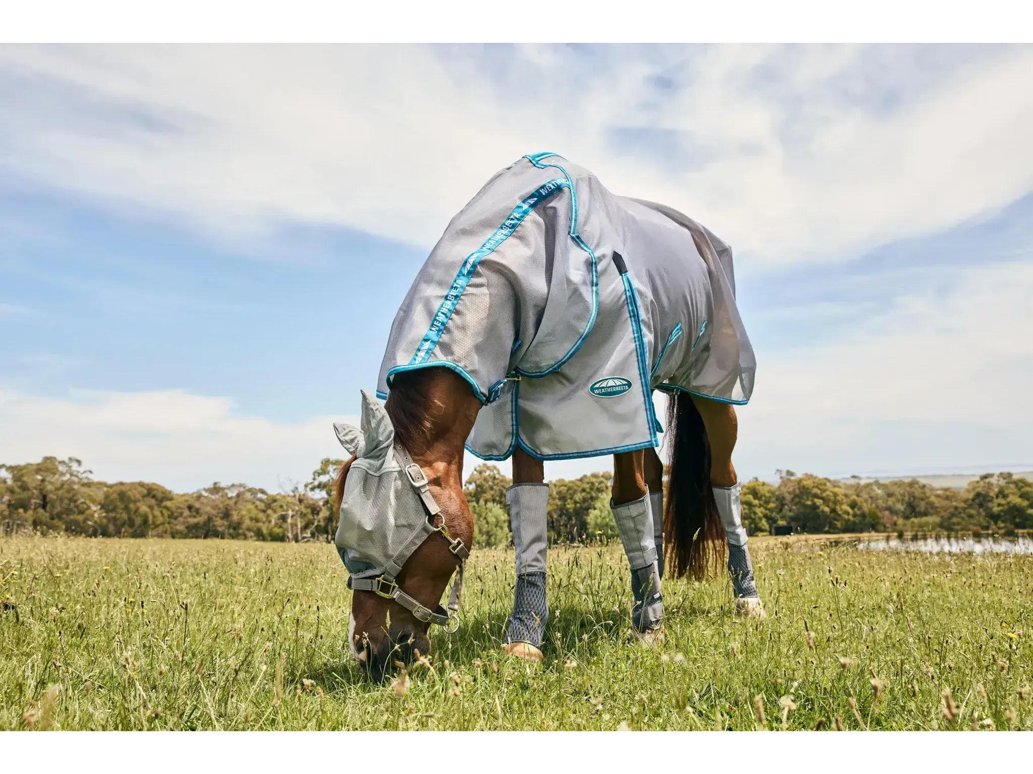 Weatherbeeta Comfitec Hexi Shield Dual Fly Mask