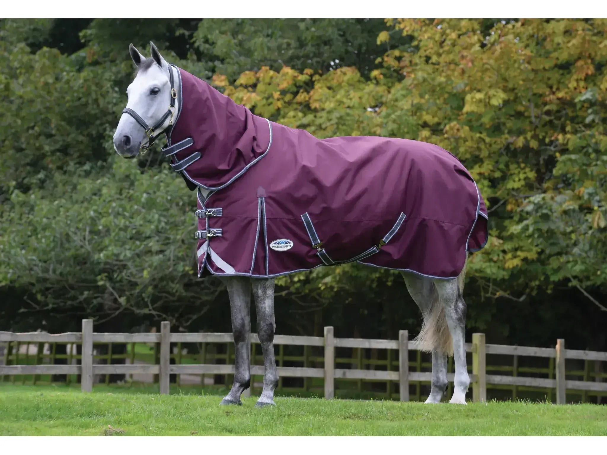 Weatherbeeta Comfitec Plus Dynamic II Detach-A-Neck 100g Medium/Lite