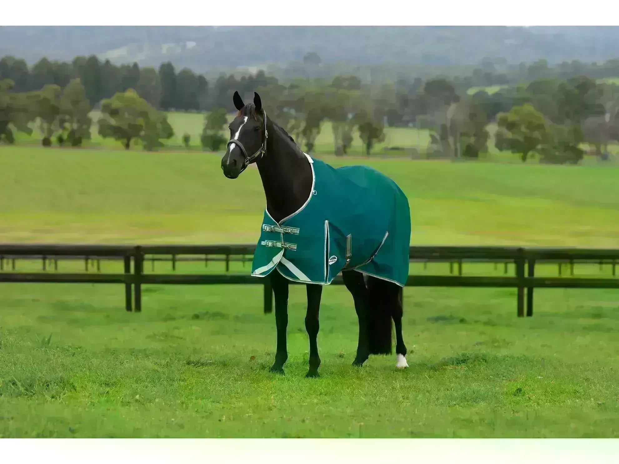 Weatherbeeta Comfitec Plus Dynamic II Detach-A-Neck Lite