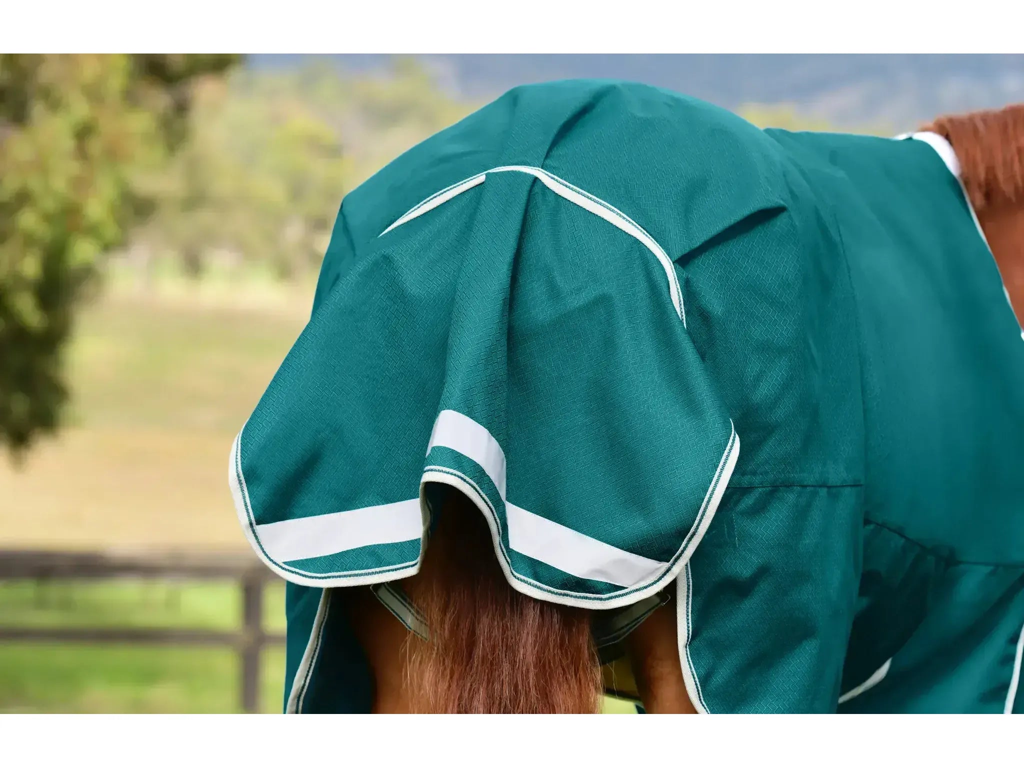 Weatherbeeta Comfitec Plus Dynamic II Detach-A-Neck Lite