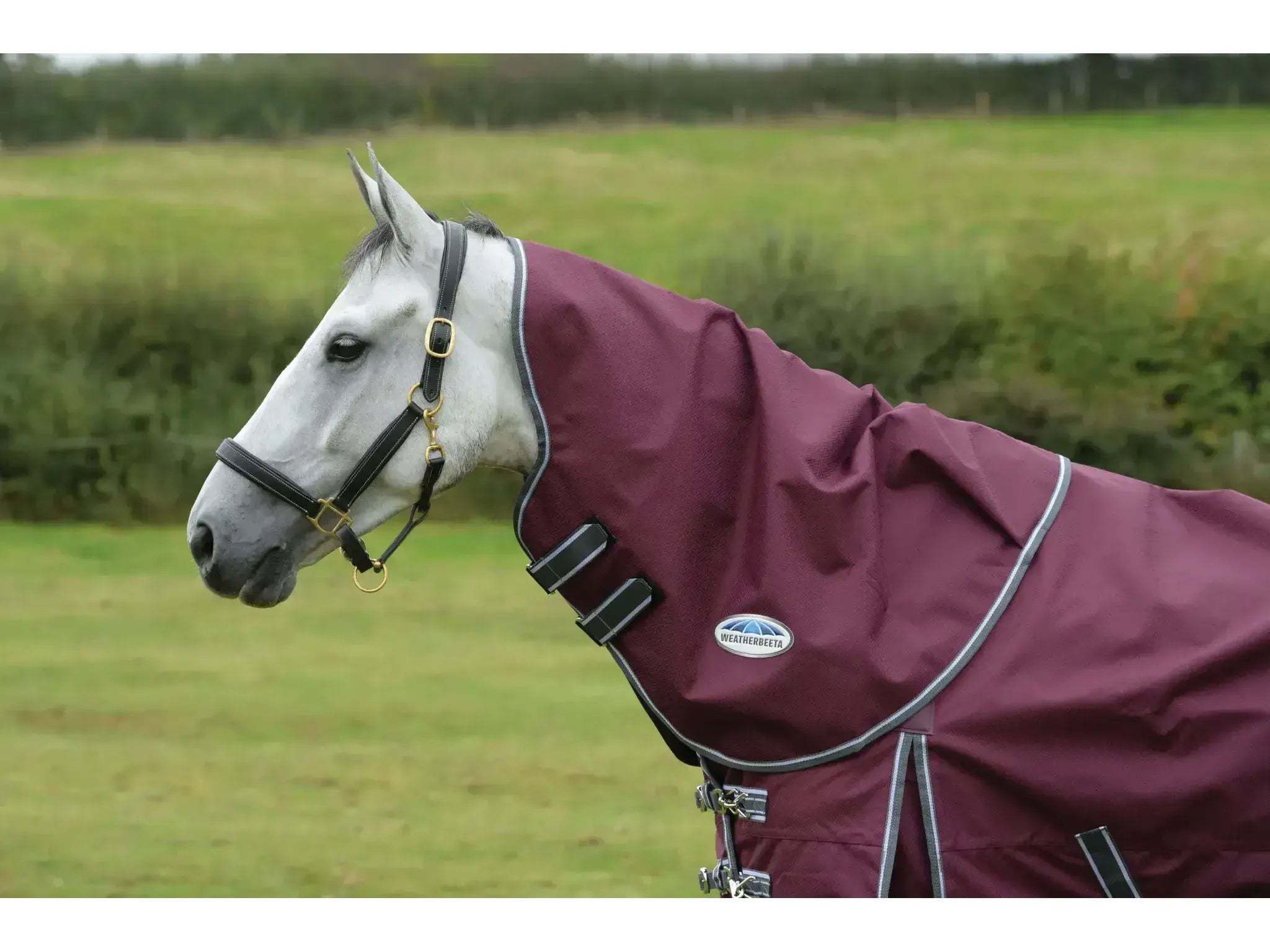 Weatherbeeta Comfitec Plus Dynamic II (Neck Only) Rug Lite