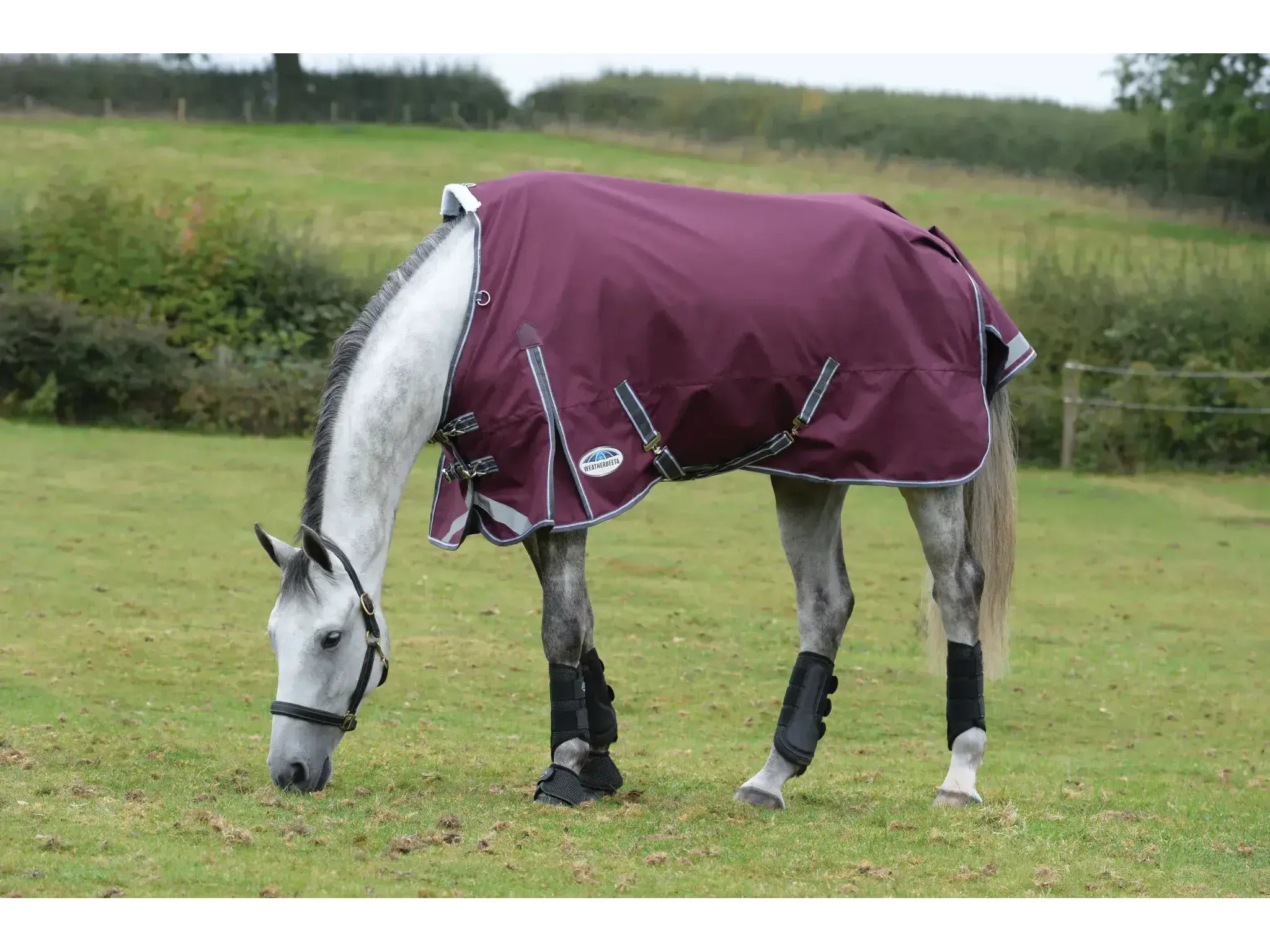 Weatherbeeta Comfitec Plus Dynamic II Standard 0g Neck Lite - Maroon / Grey / White